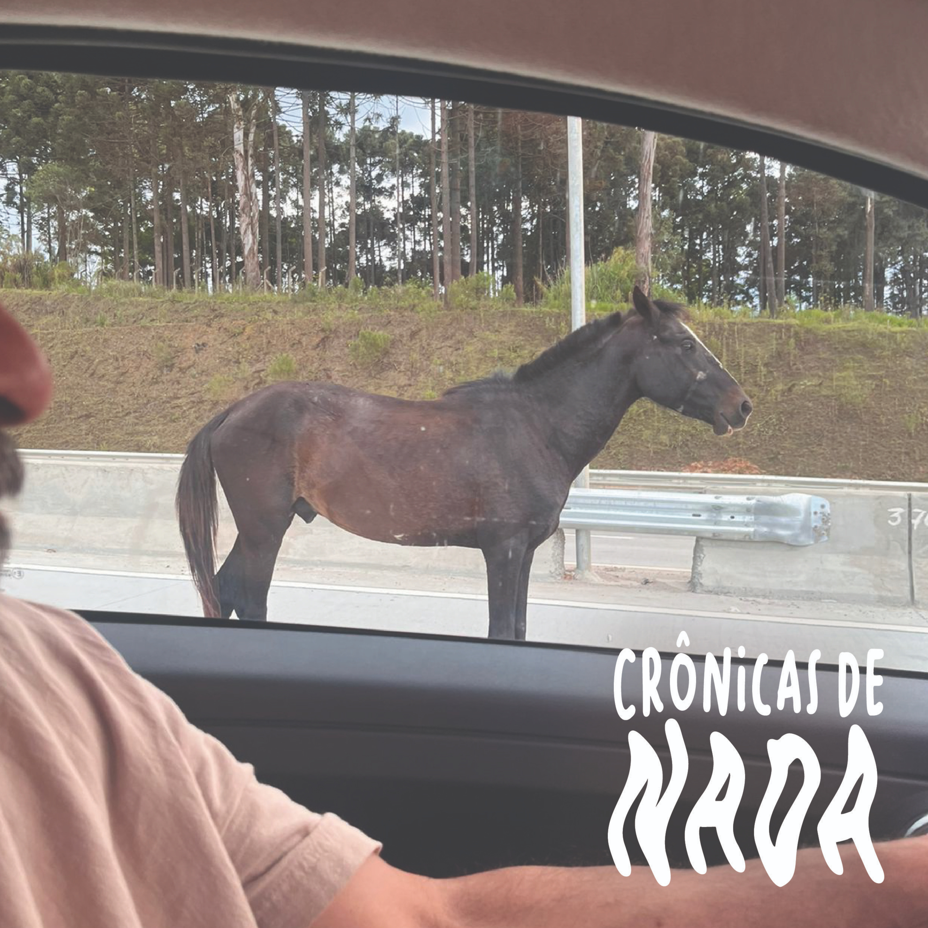 Crônicas De Nada