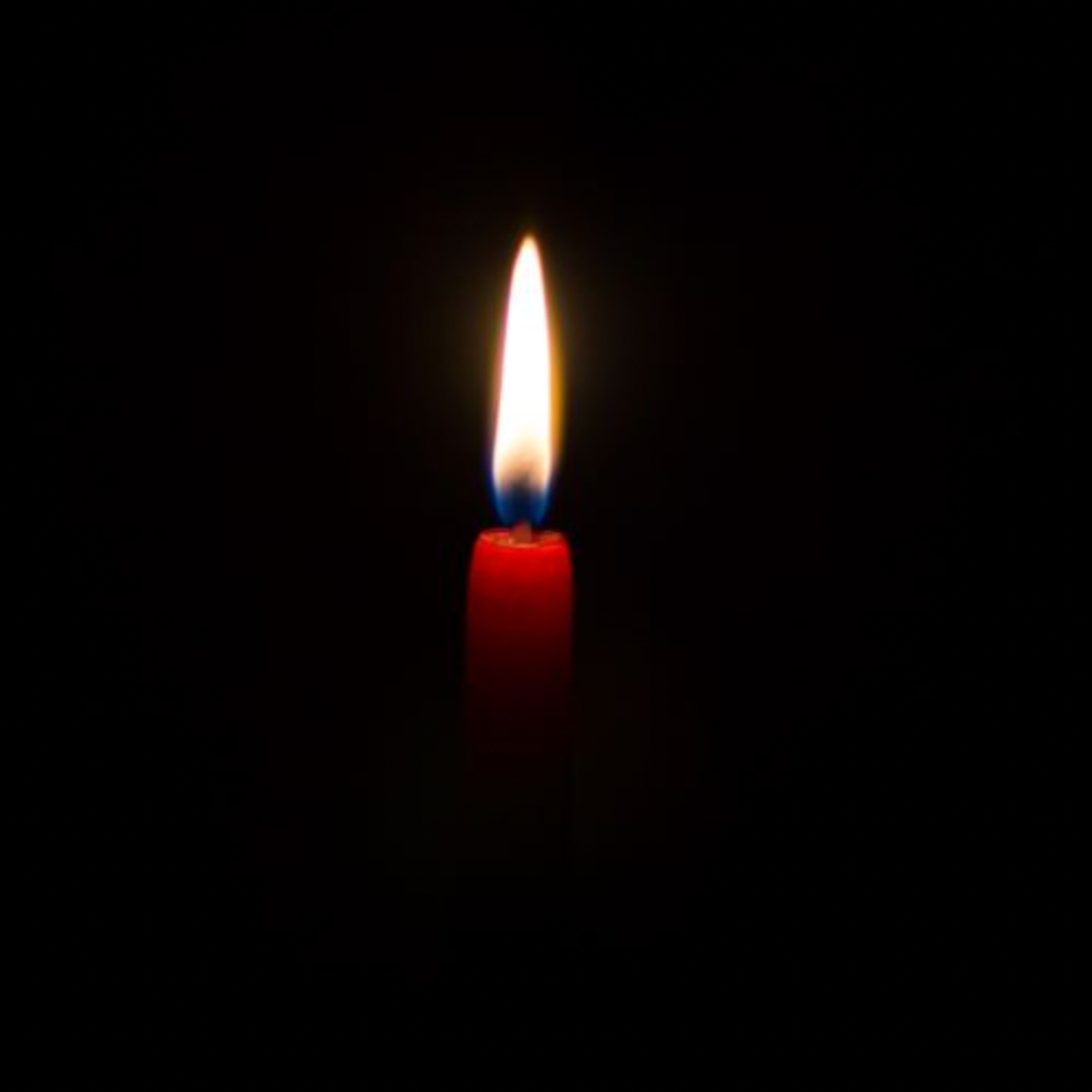 we are heartbroken