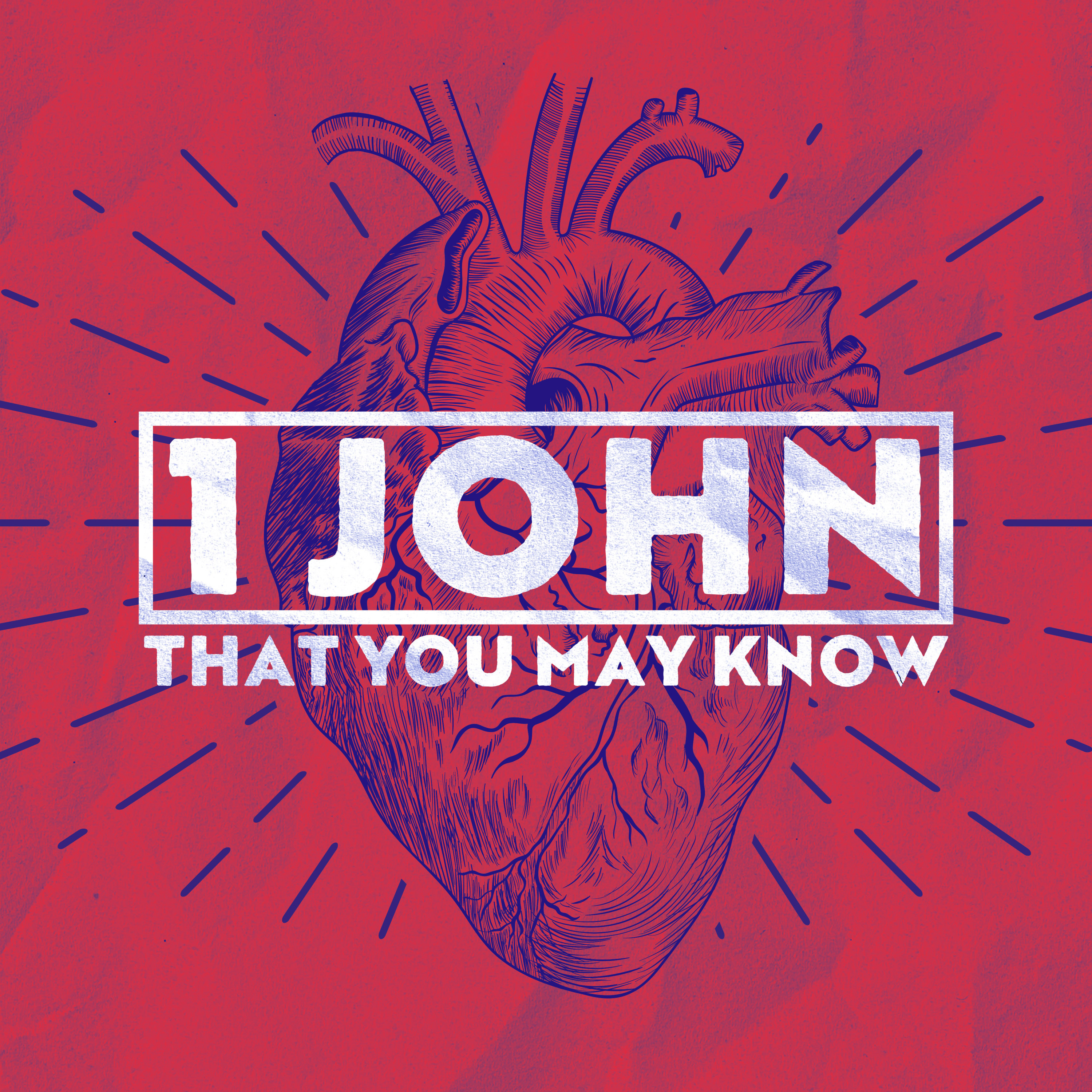 Overcomer | 1 John 5:1-5