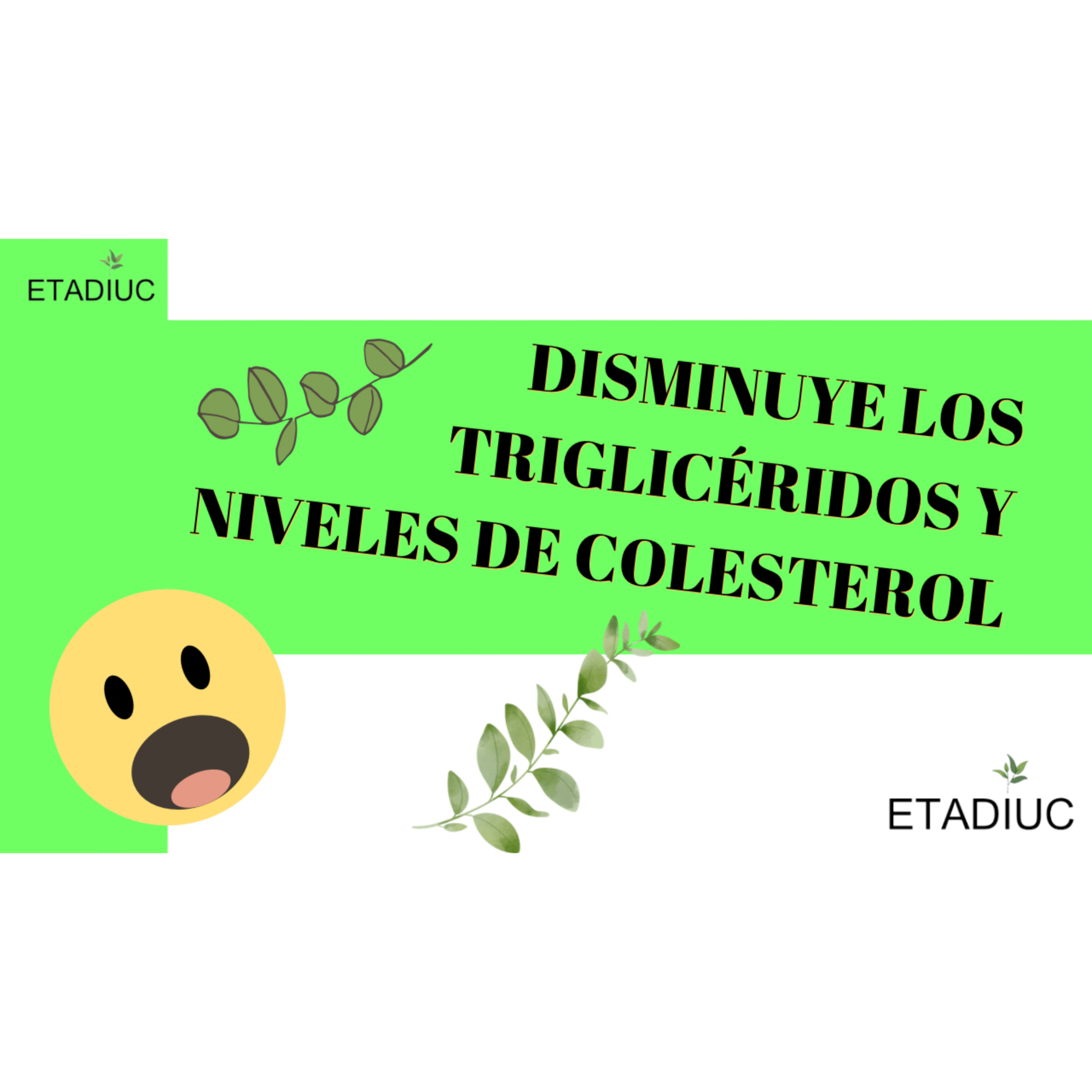 Episodio.173. Disminuye Los Triglicéridos Y Niveles De Colesterol😳 episode artwork