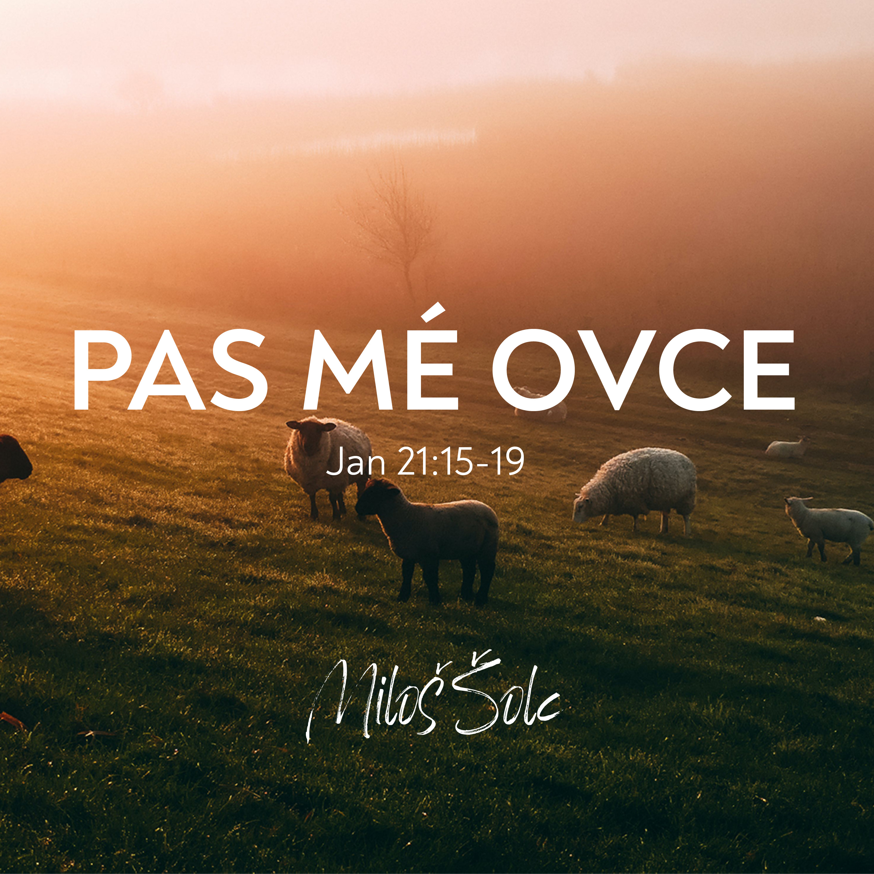 Povolání k pastoraci | Jan 21:15-19 episode artwork