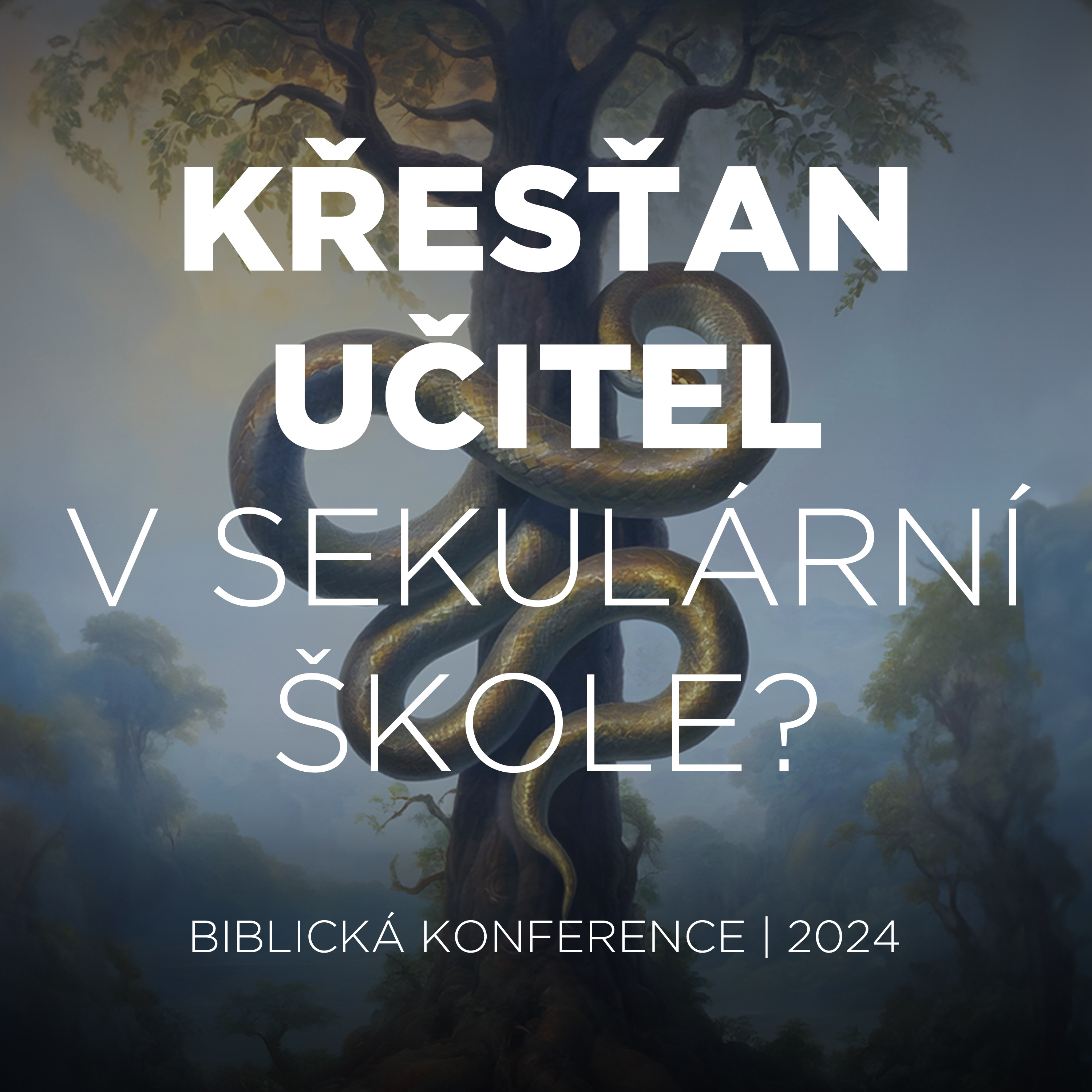 #Q&A 02 Jak má křesťanský učitel pracovat v sekulární škole? | Biblická konference 2024 episode artwork