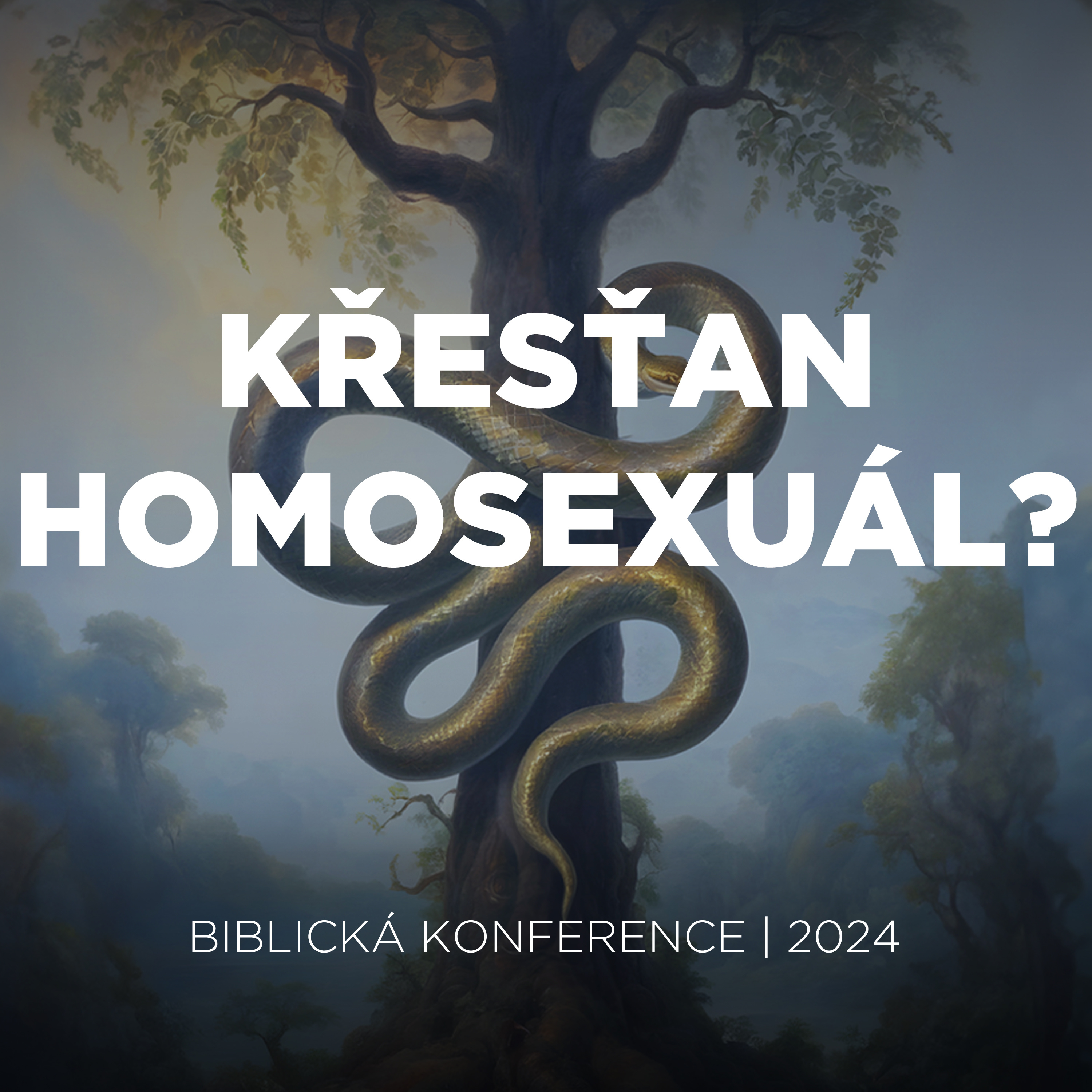 #Q&A 03 Křesťan homosexuál? | Biblická konference 2024 episode artwork
