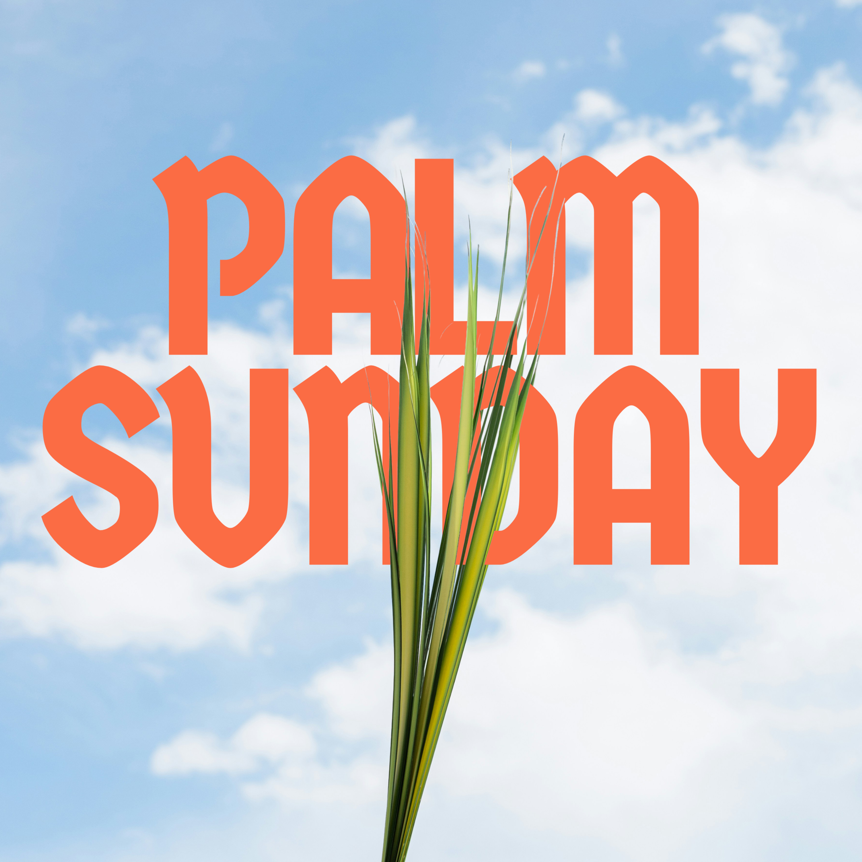 Palm Sunday | Luke 19