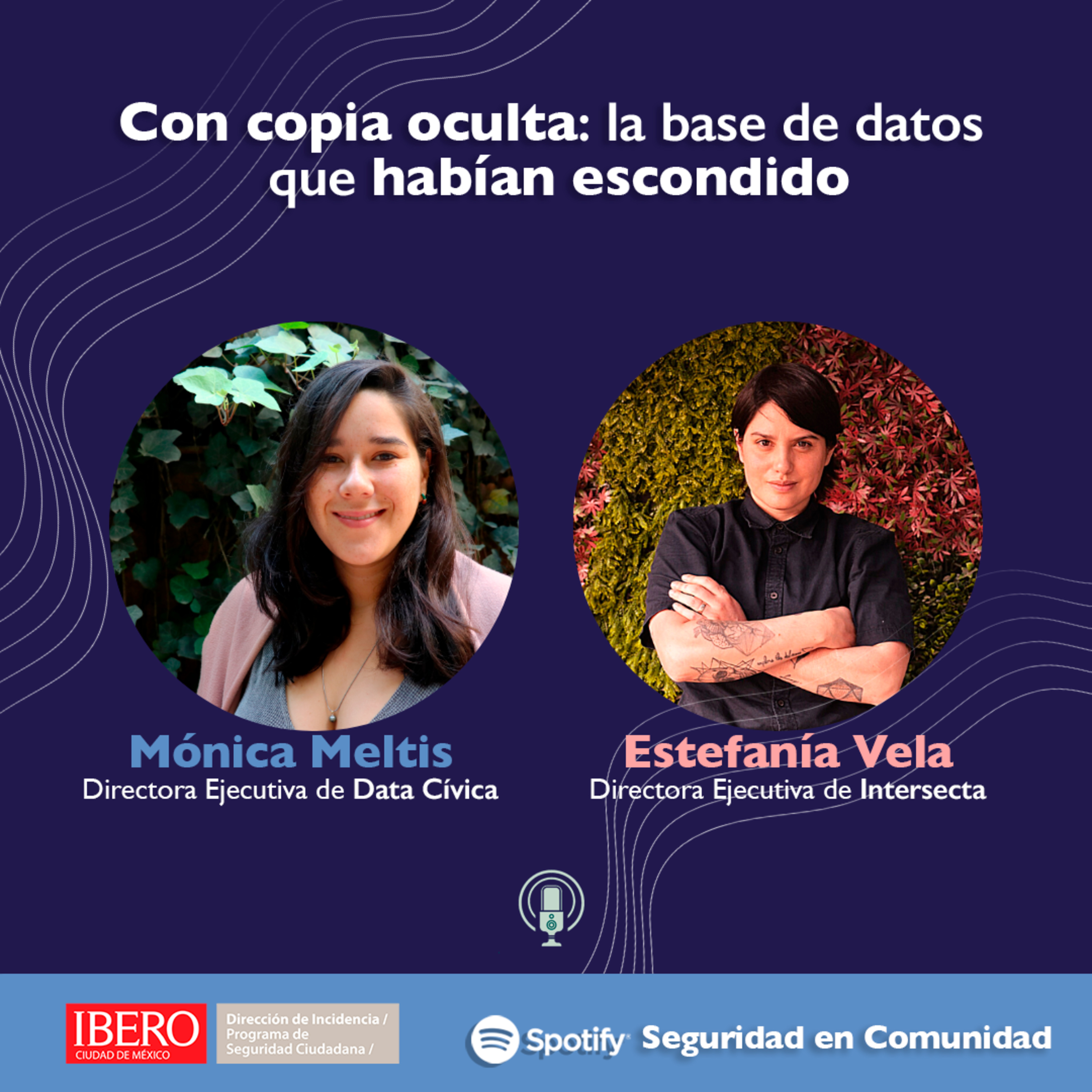 Seguridad en Comunidad