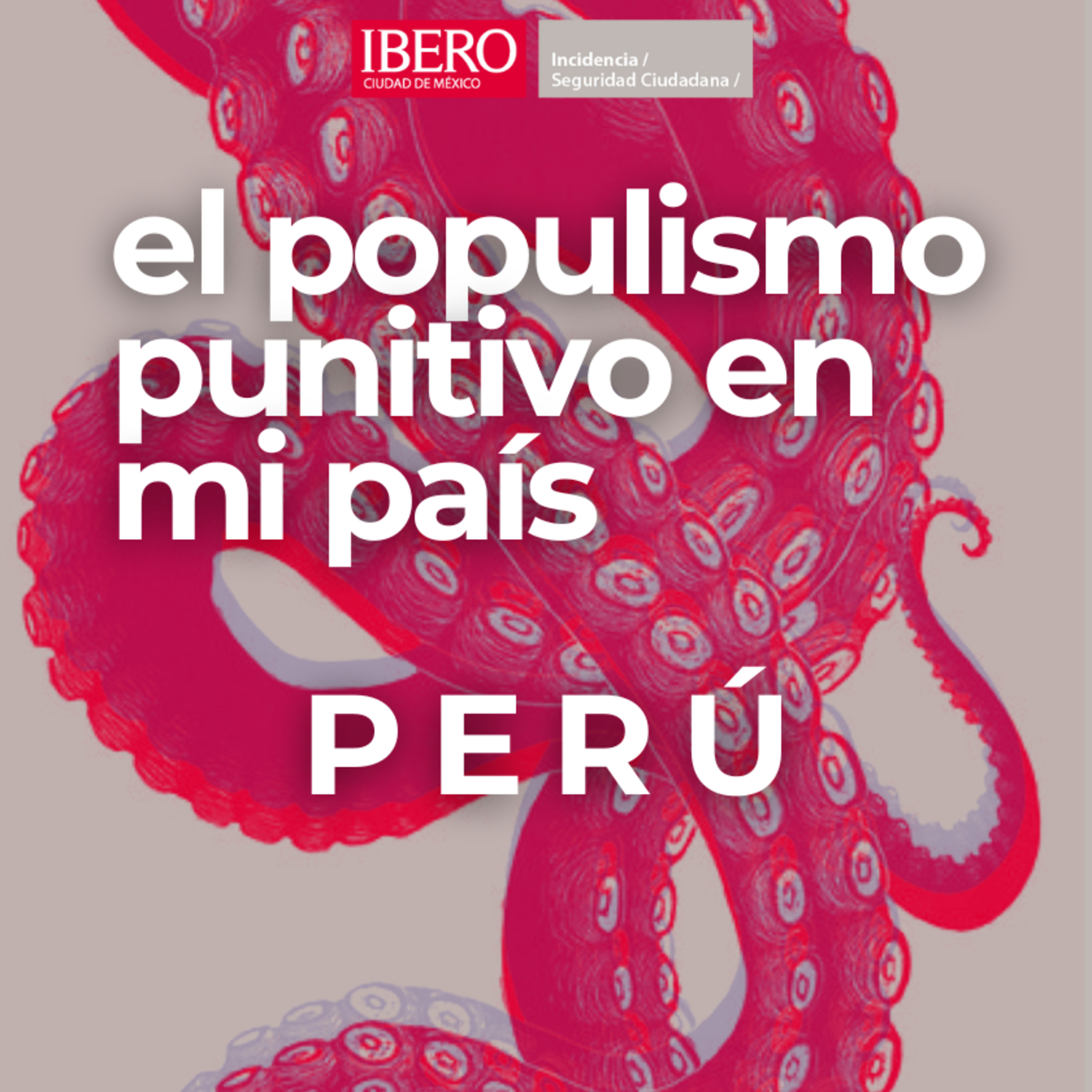 Seguridad en Comunidad