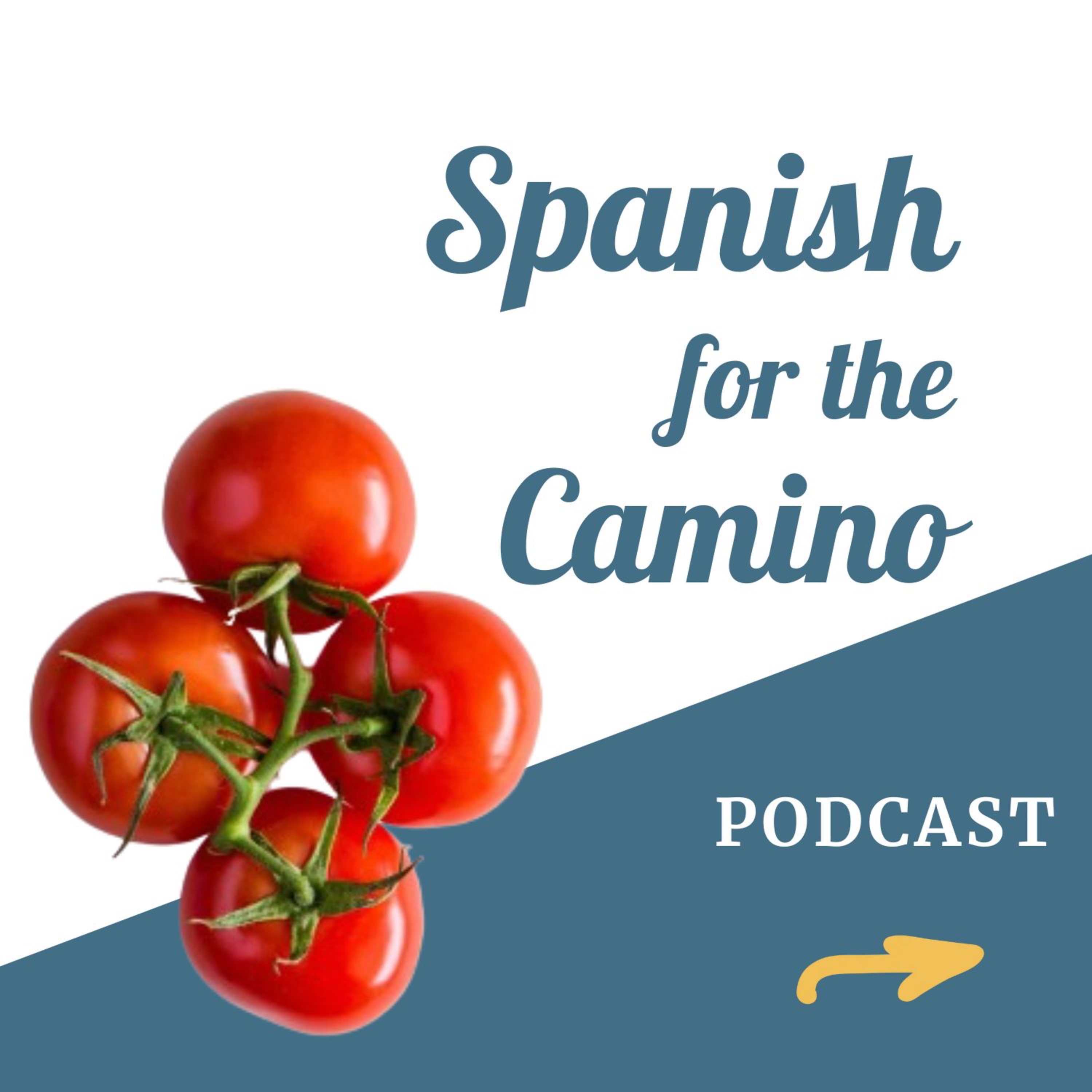 Spanish for the Camino