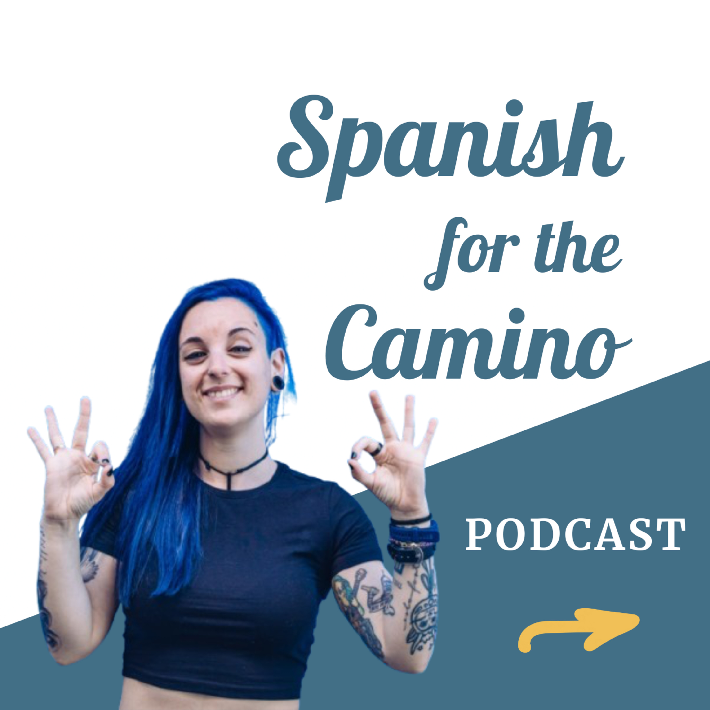 64. Aprendizajes del Camino episode artwork
