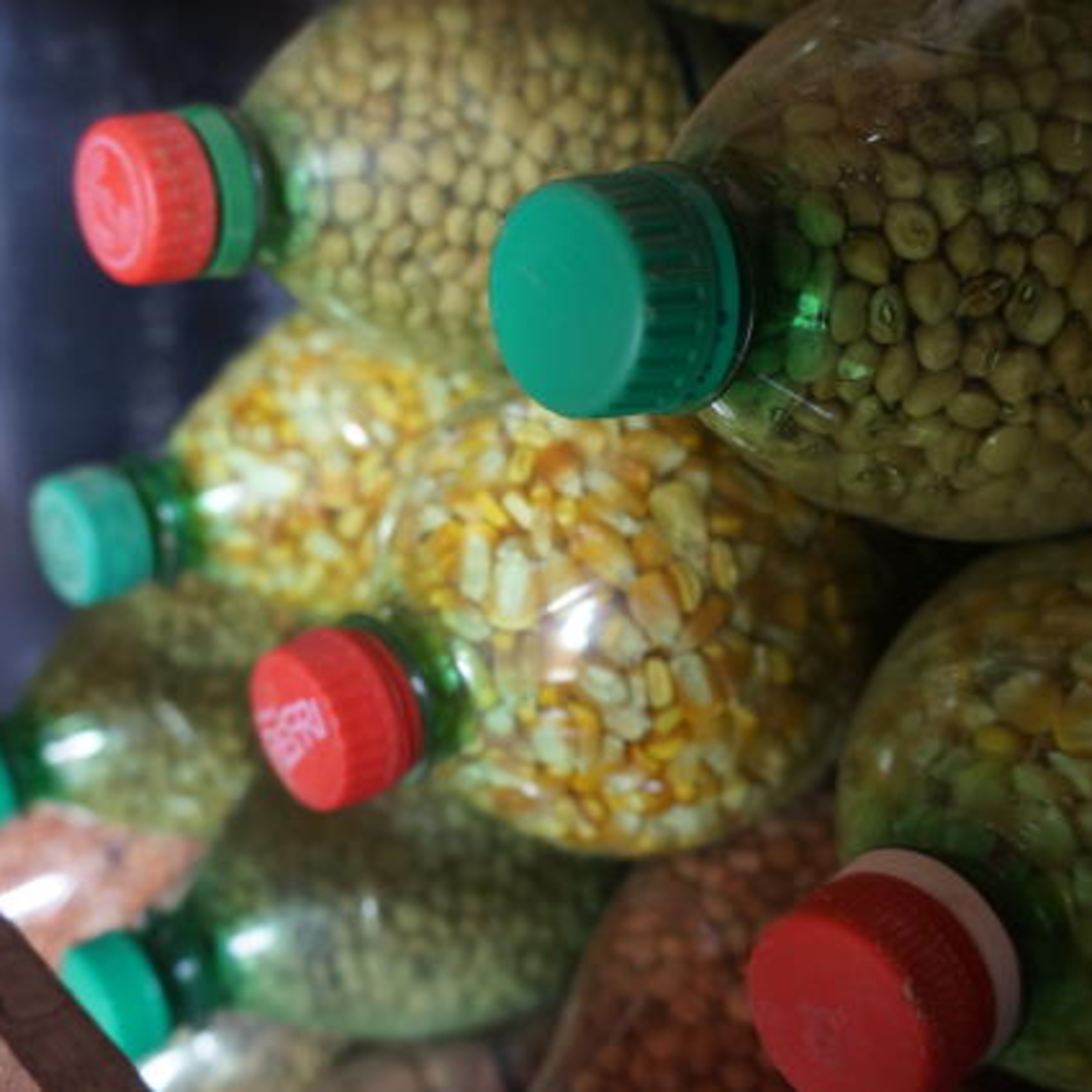 100porcentoagro