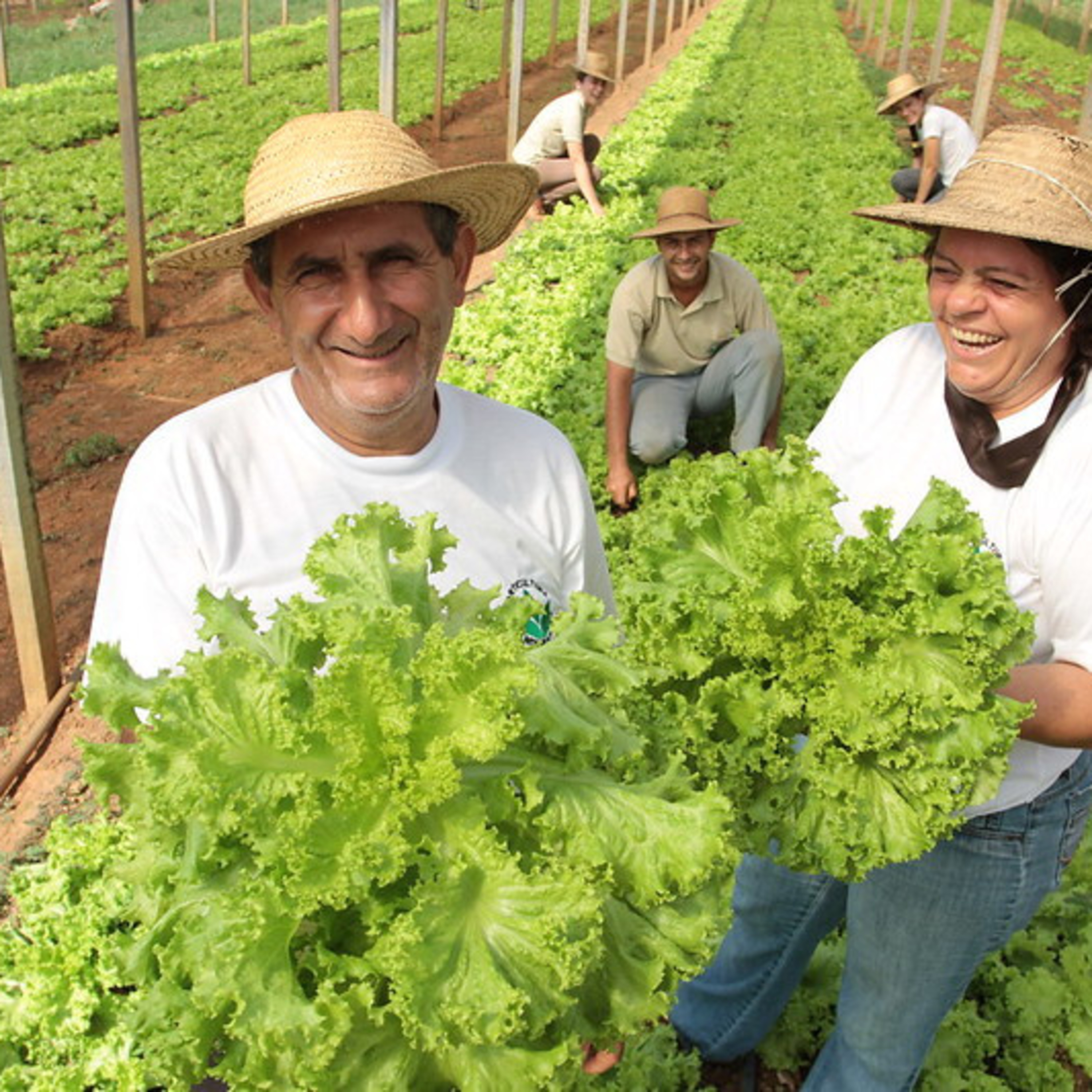 100porcentoagro