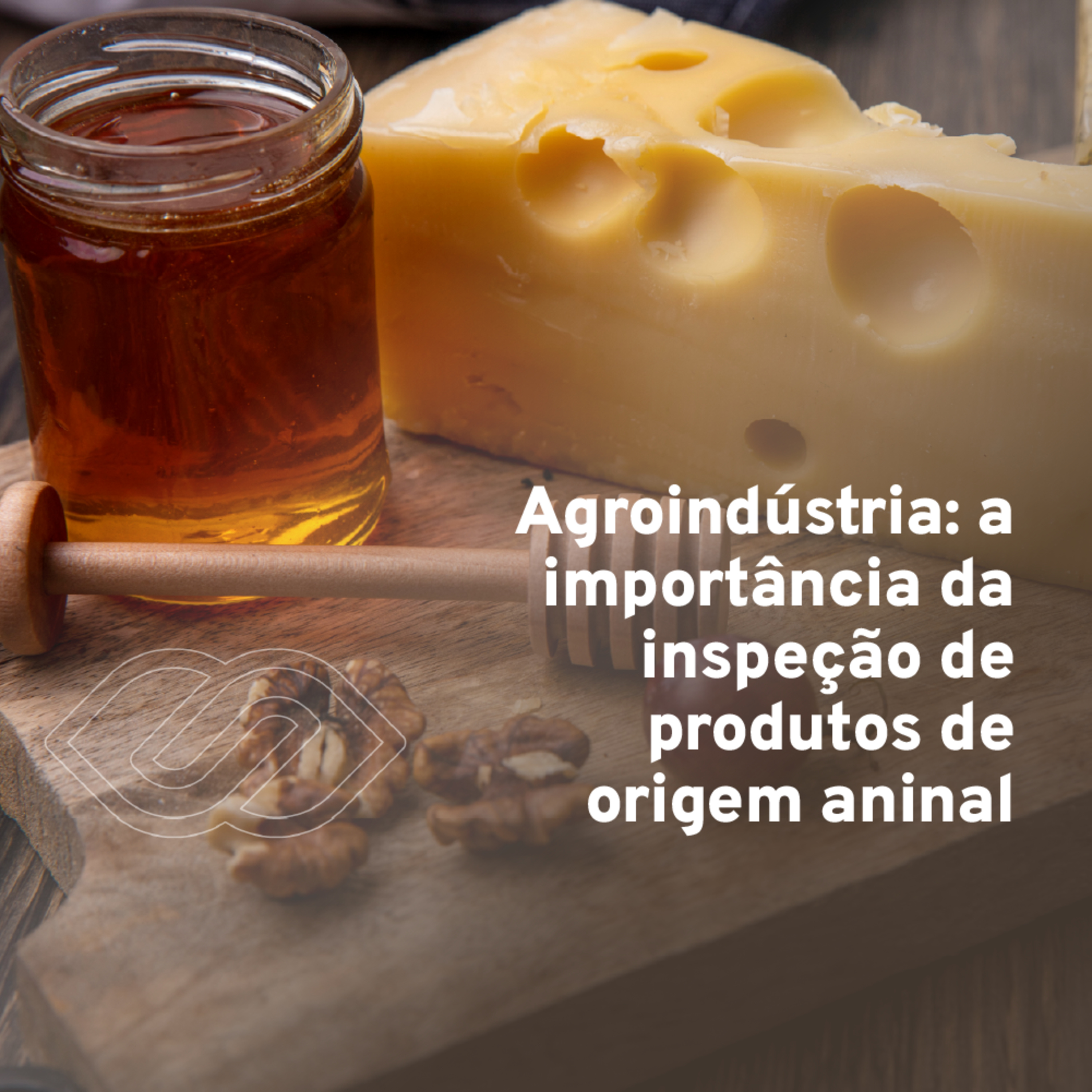 MG tem experiência de sucesso que facilita trabalho da agroindústria episode artwork