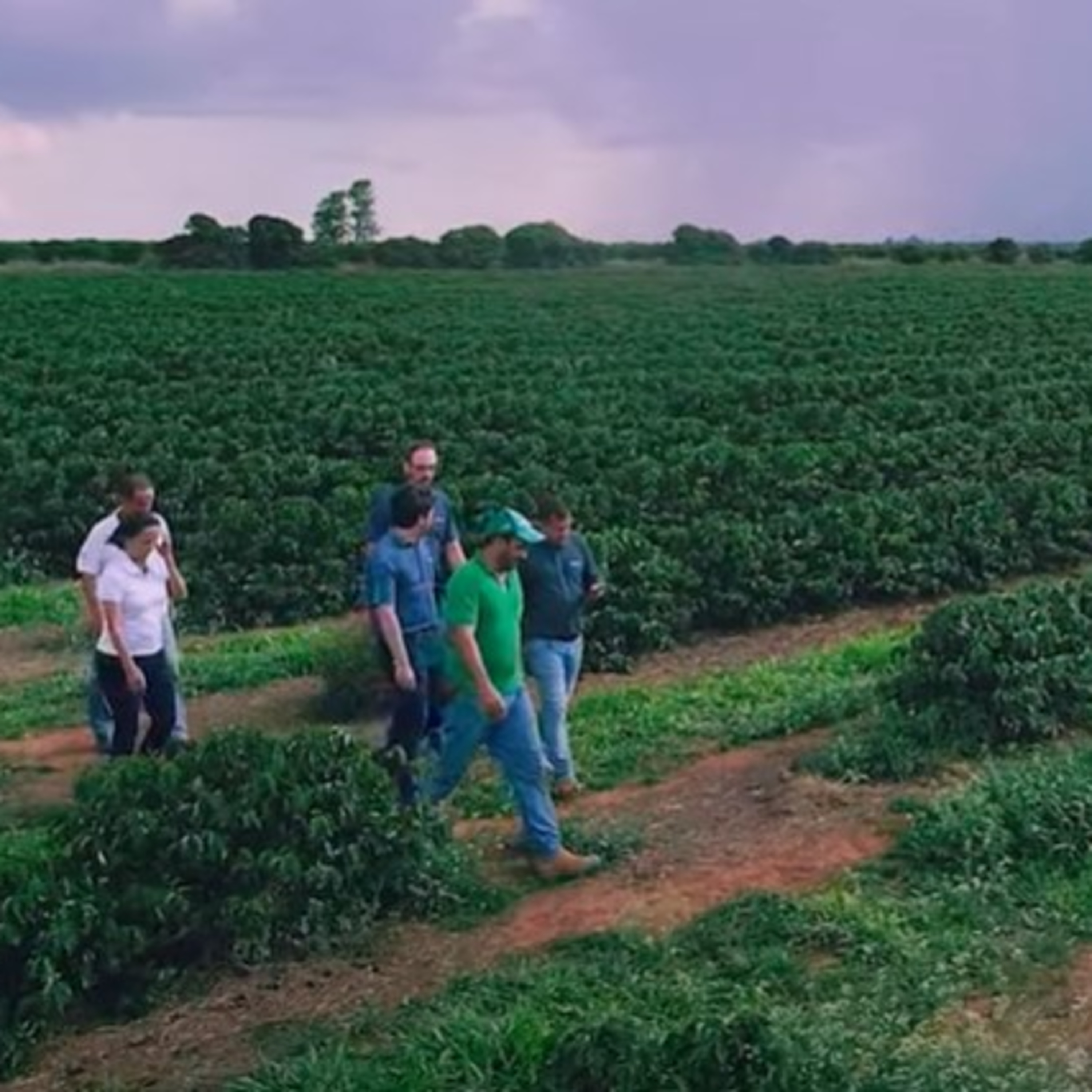 100porcentoagro