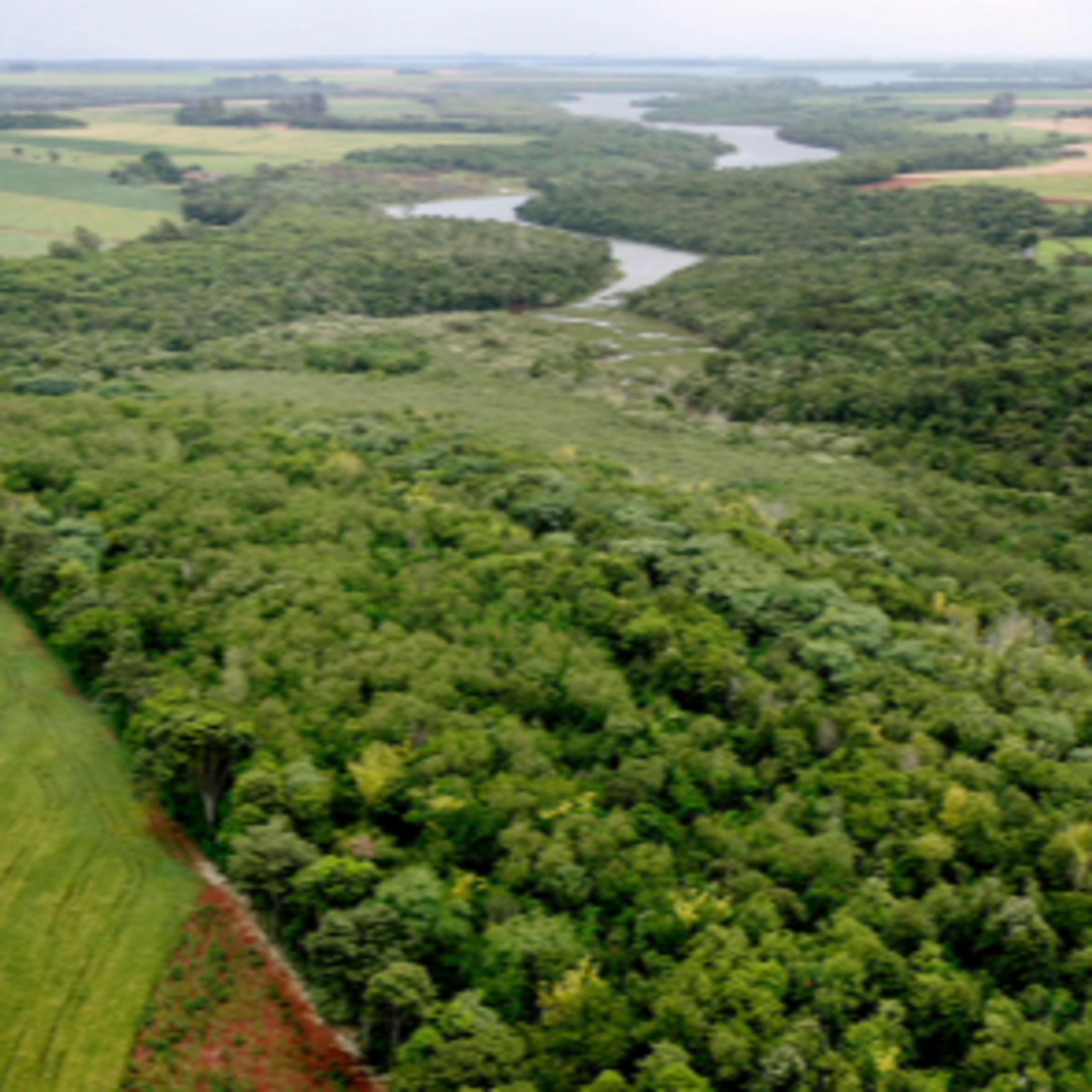 Erosão genética e a luta pela agrobiodiversidade: a riqueza escondida nos biomas brasileiros episode artwork