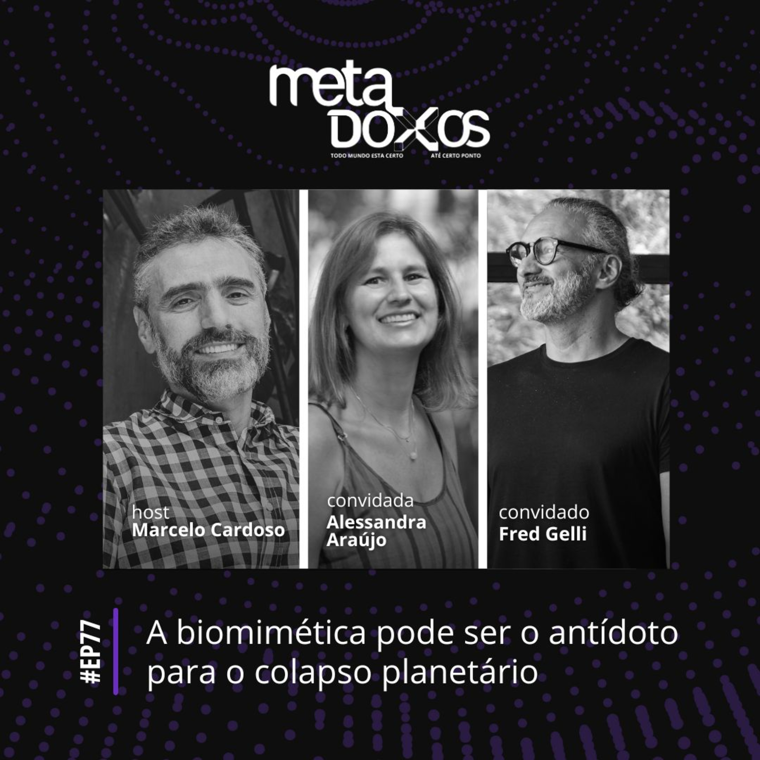 Metadoxos