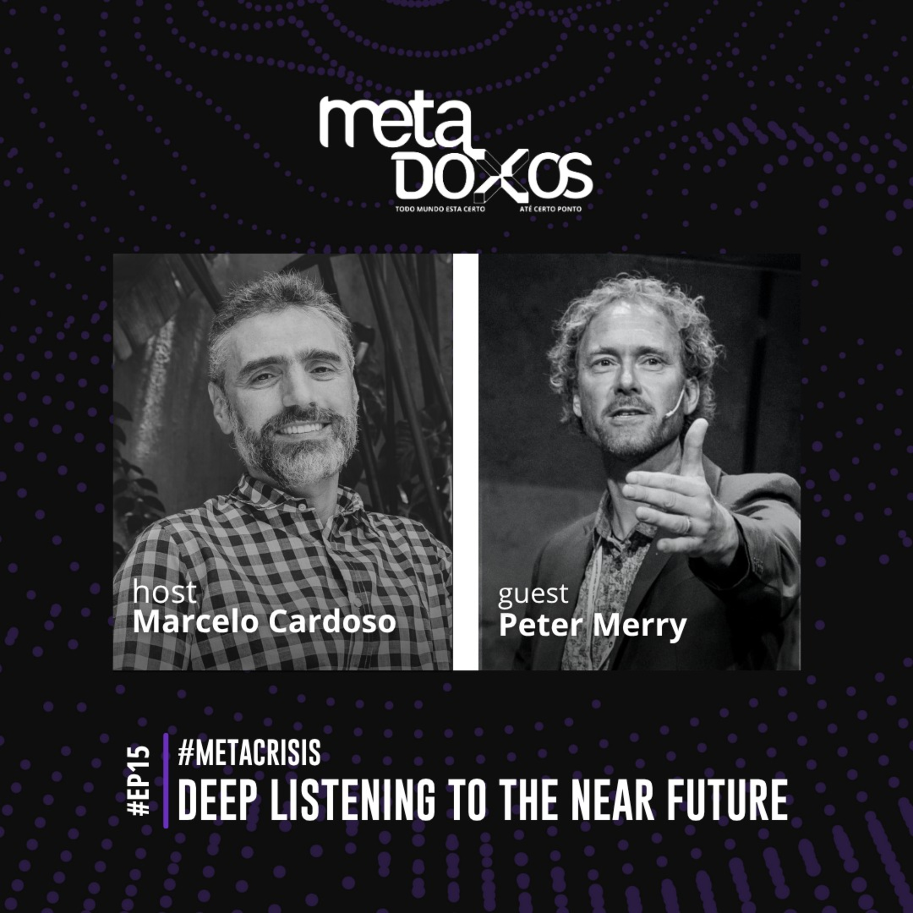 EP15 - Deep listening to the near future with Peter Merry #METACRISIS  episode artwork