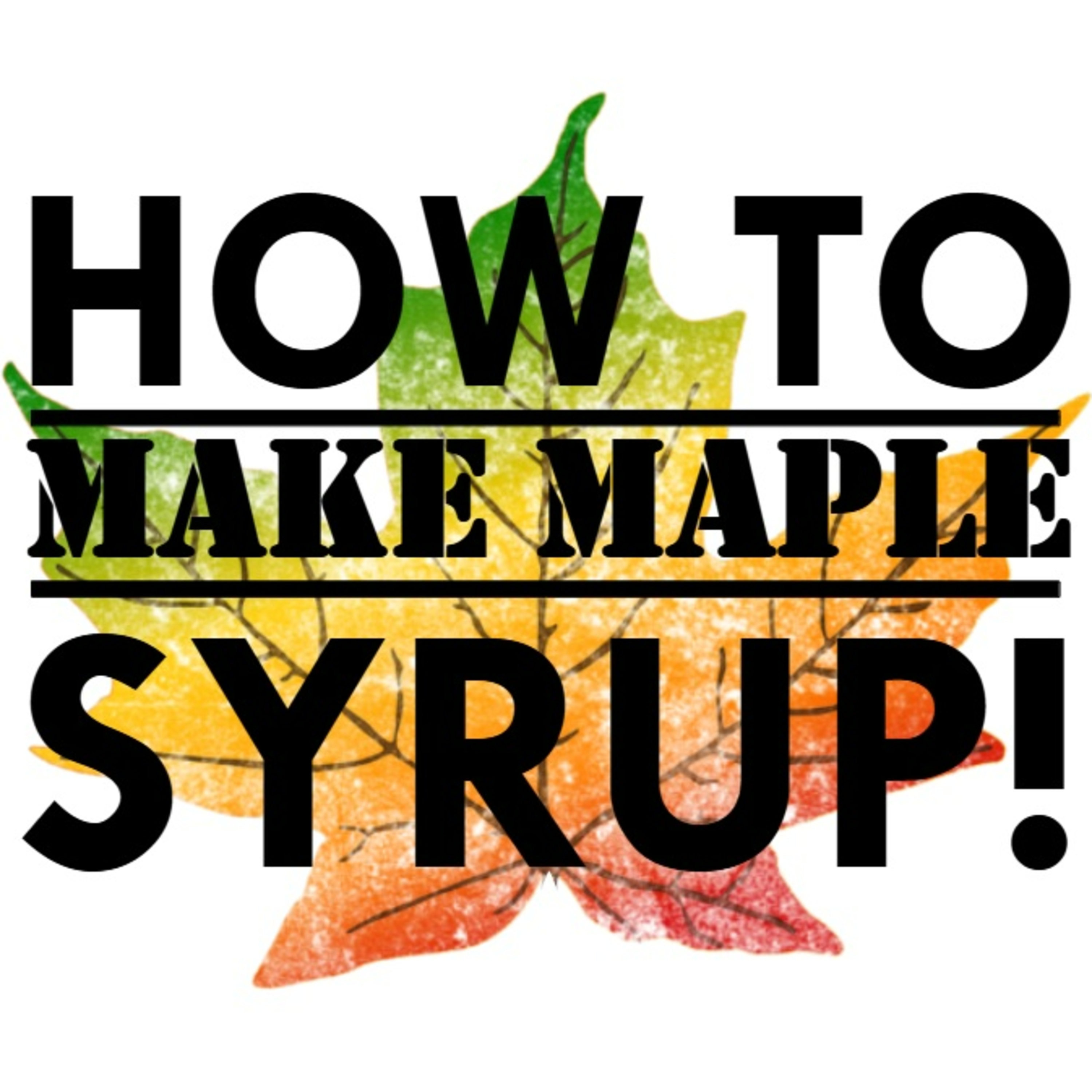 How to Make Maple Syrup!