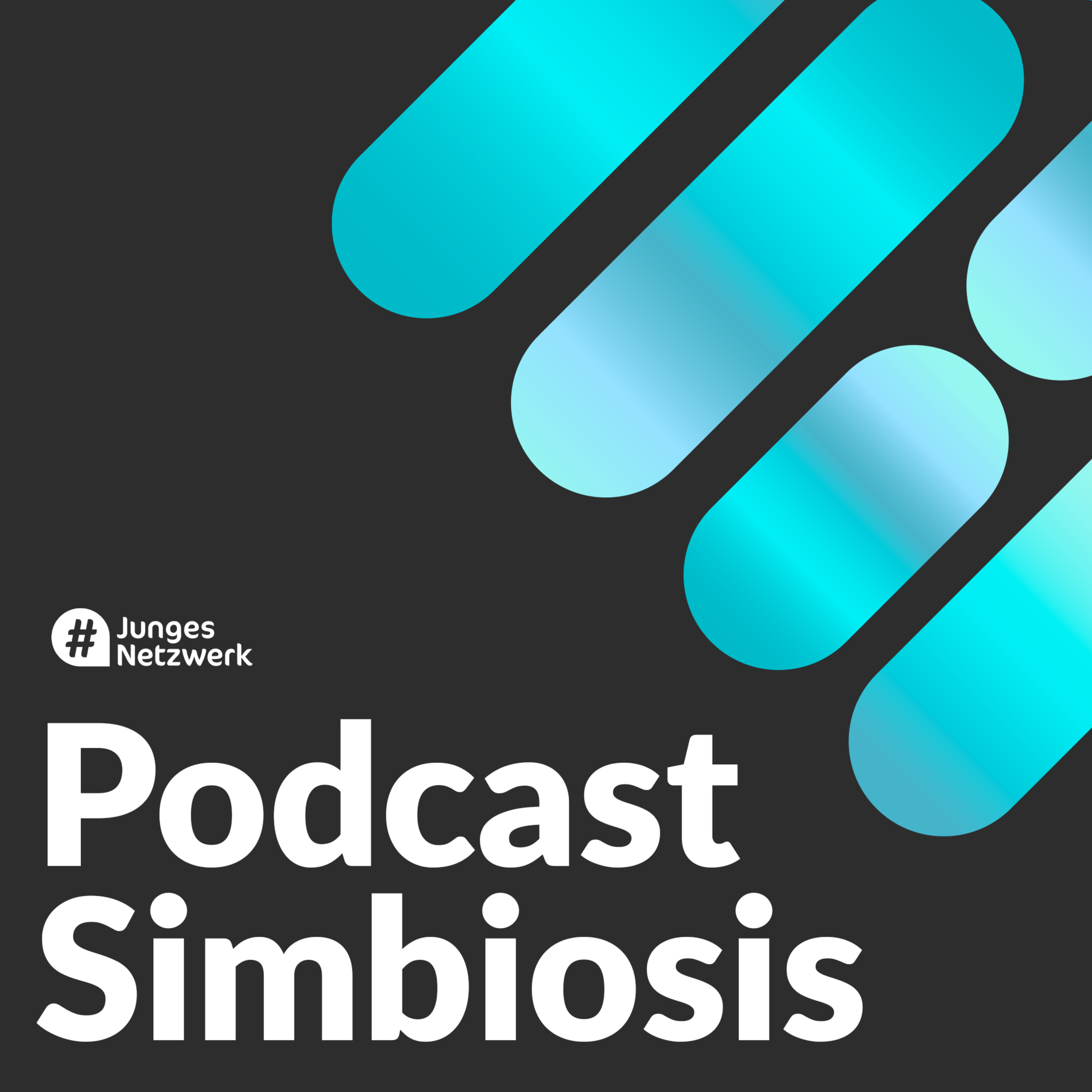 #JungesNetzwerk Podcast