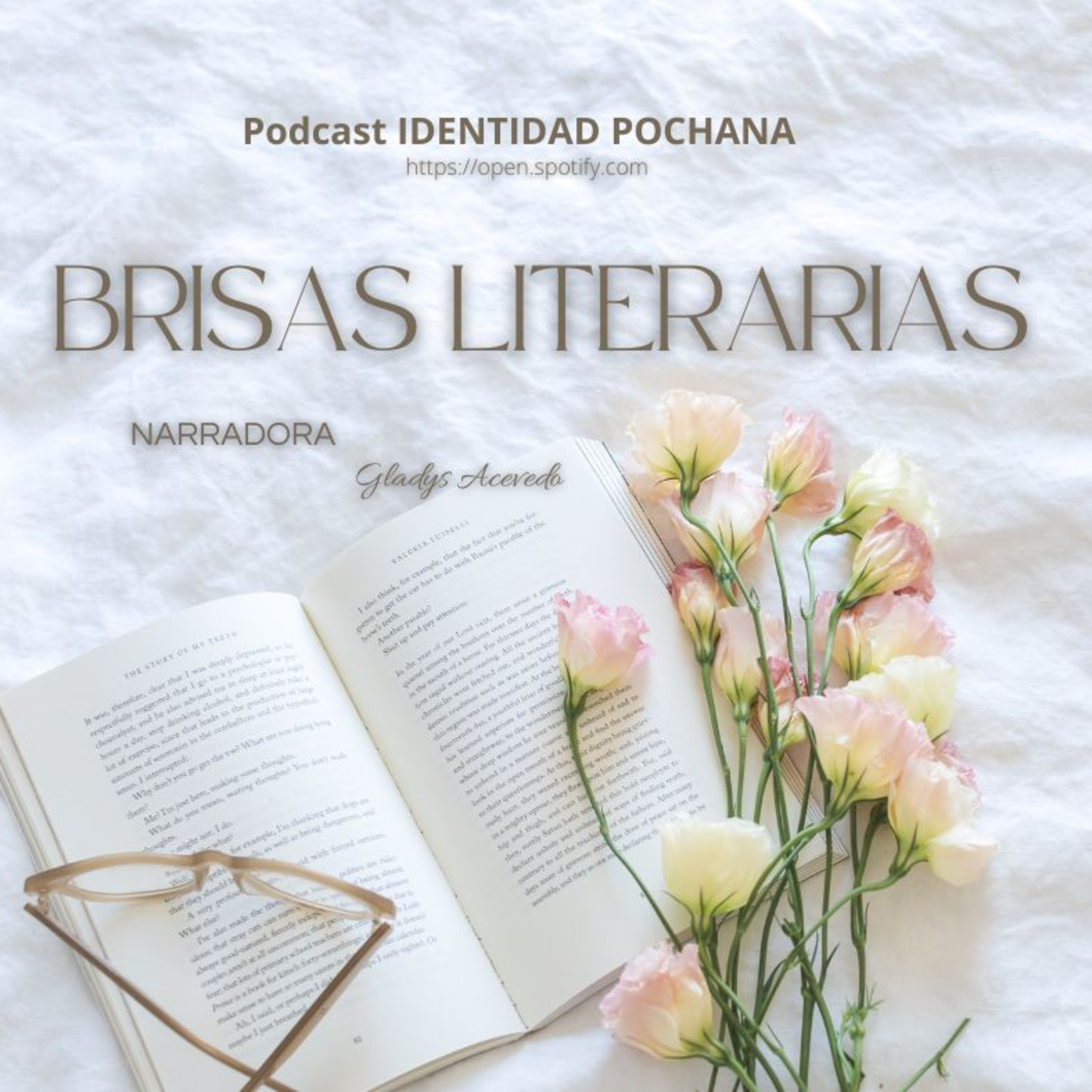 Portada de IDENTIDAD POCHANA