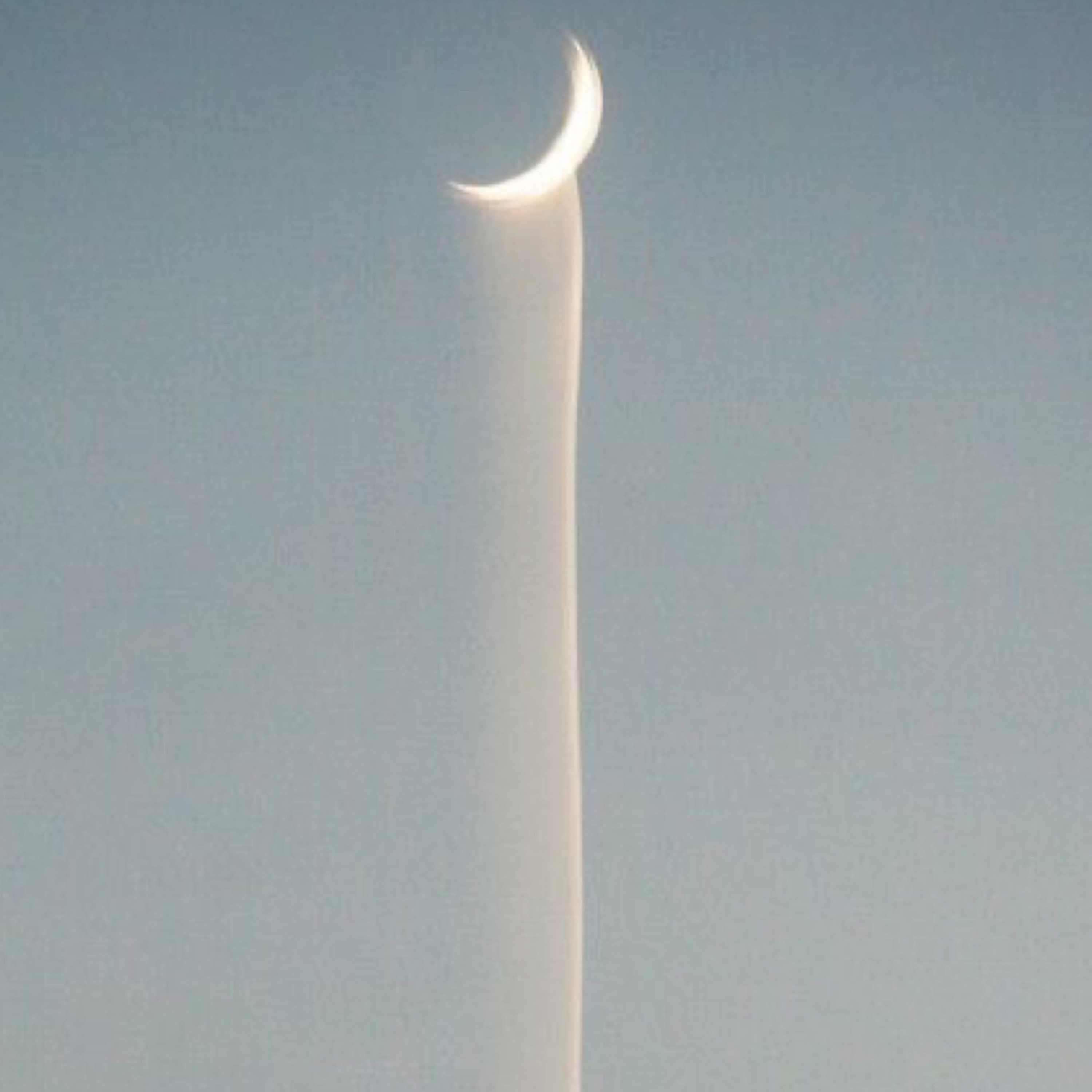 Love Reflections with -Ron Scott