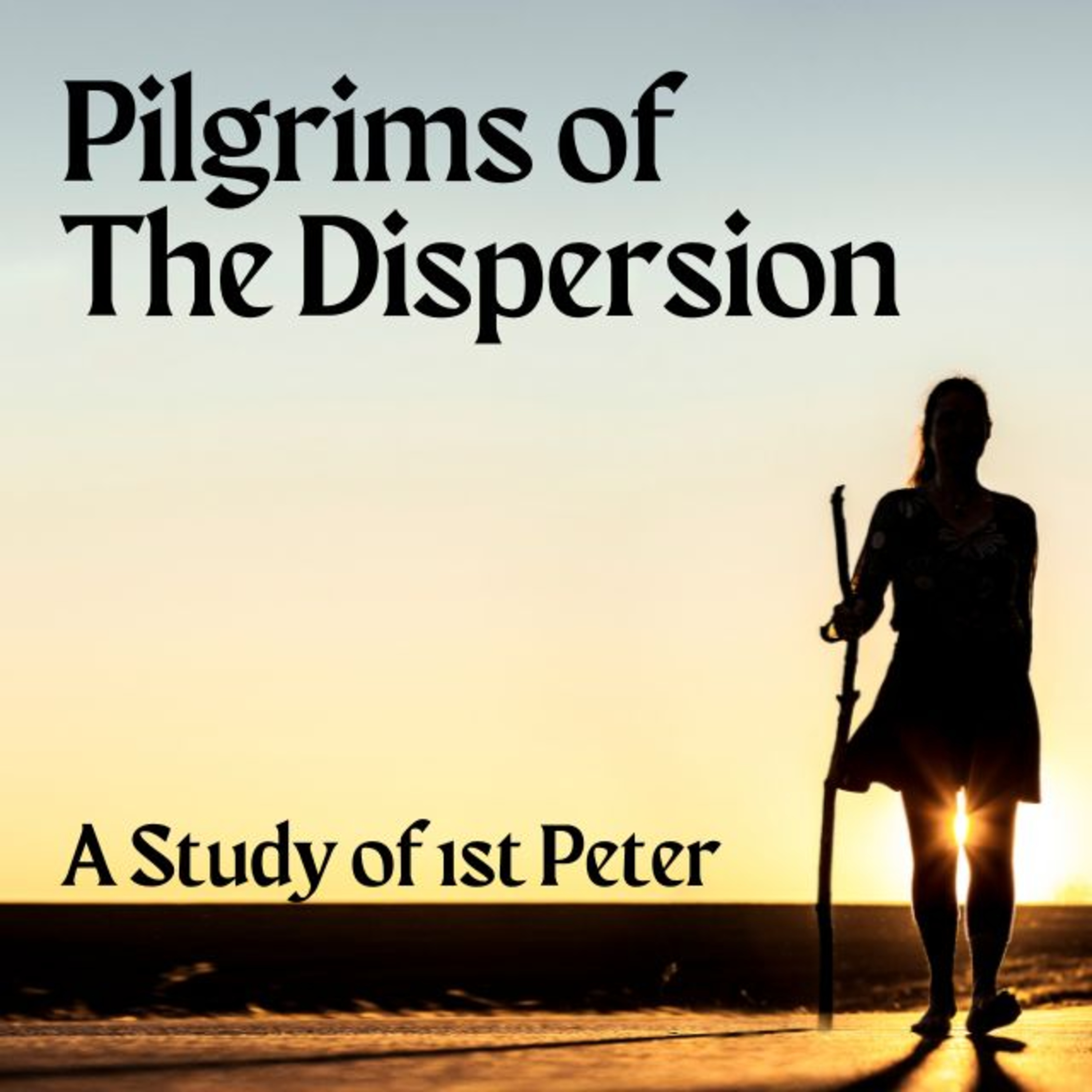 EPISODE 222: Pilgrims of the Dispersion Part 3 episode artwork
