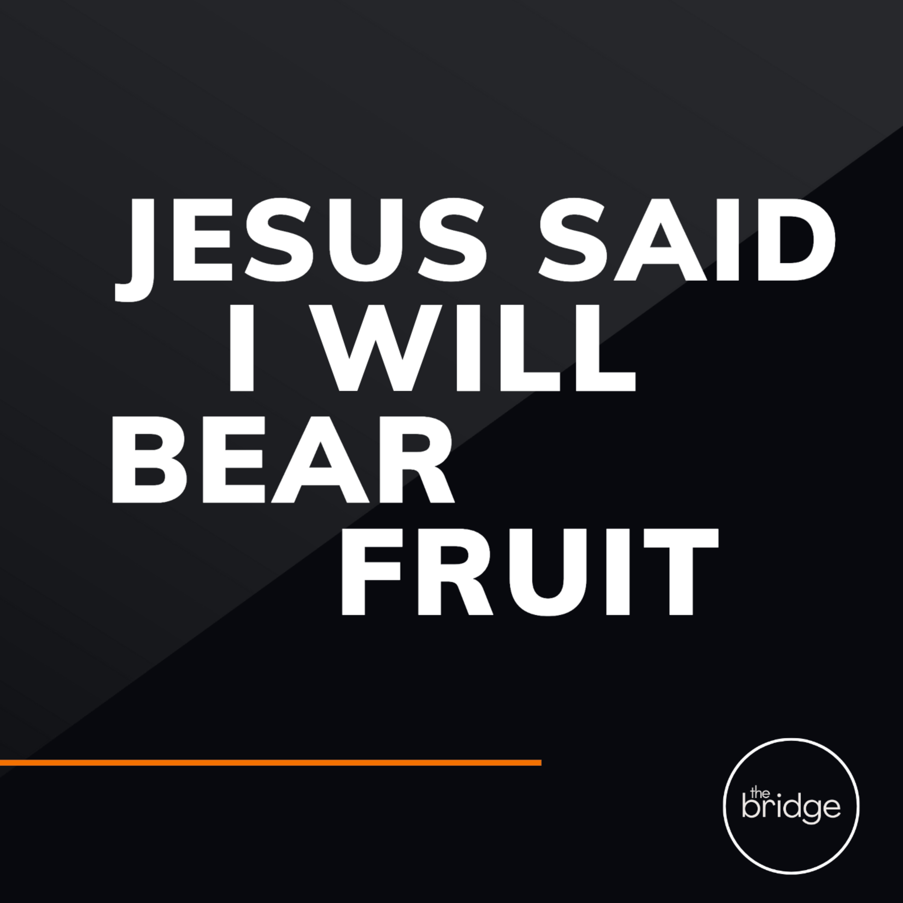 EPISODE 229: Jesus Said I Will Bear Fruit episode artwork