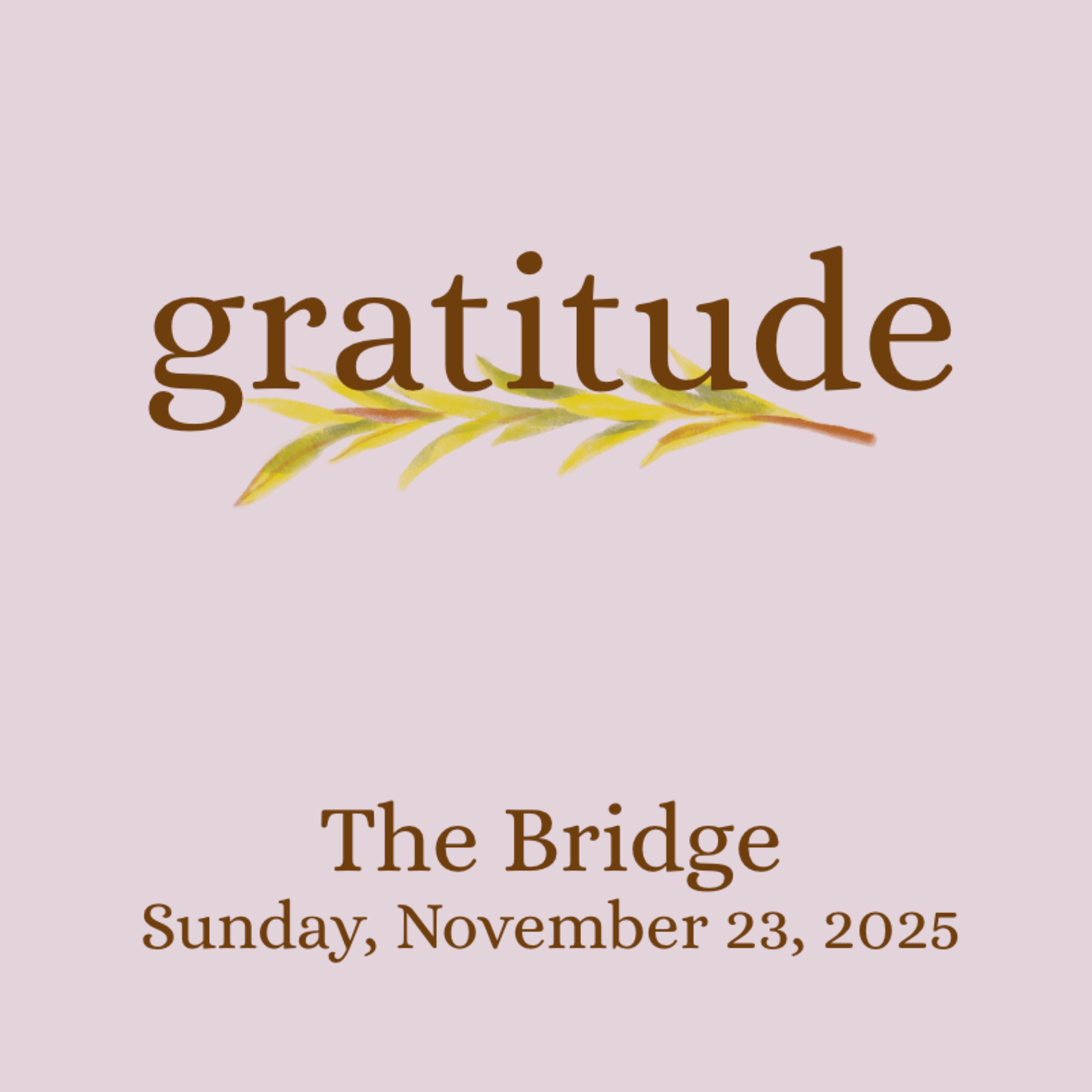 Gratitude - from The Bridge, Sunday, November 23 episode artwork