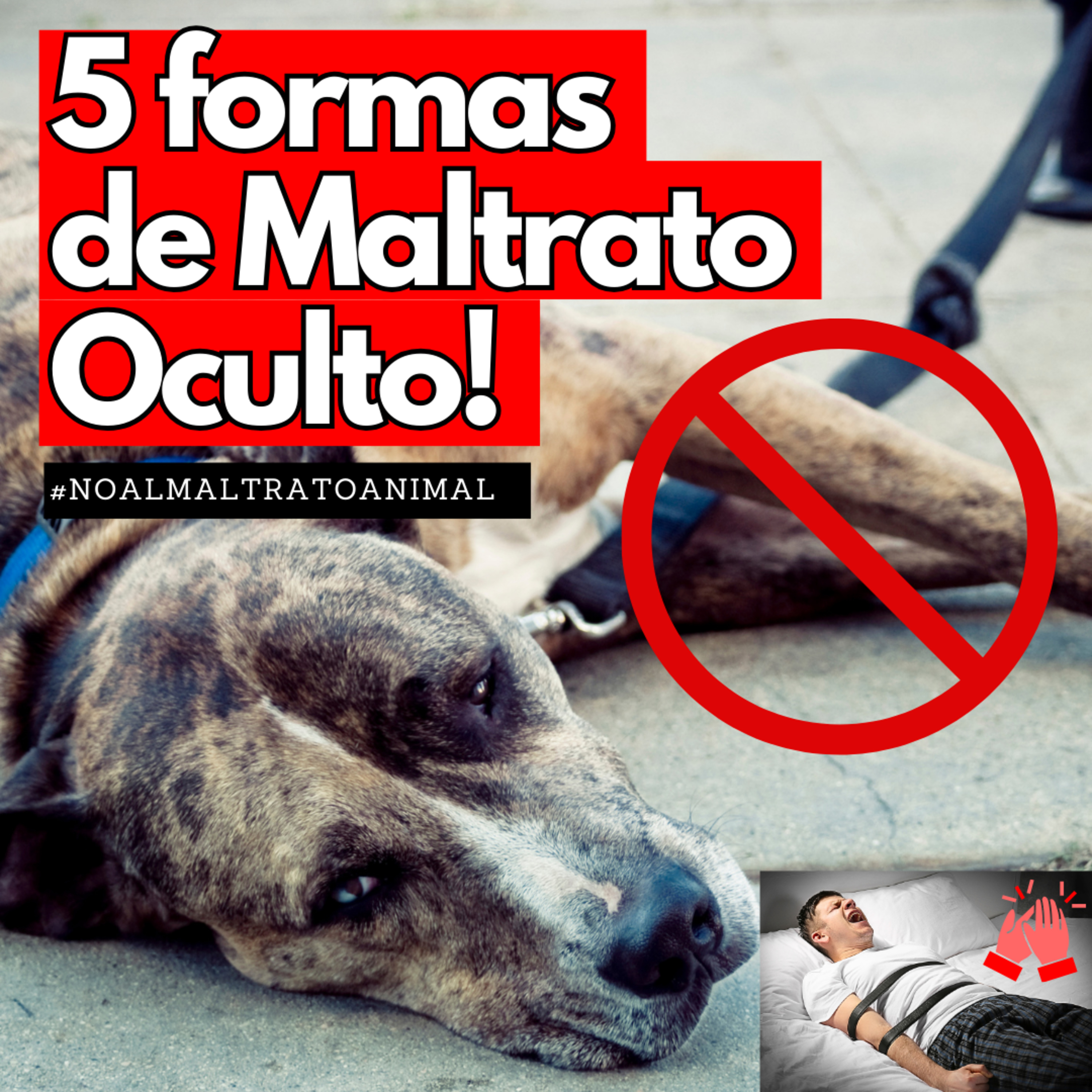Portada de SIN KILOS EN LA LENGUA