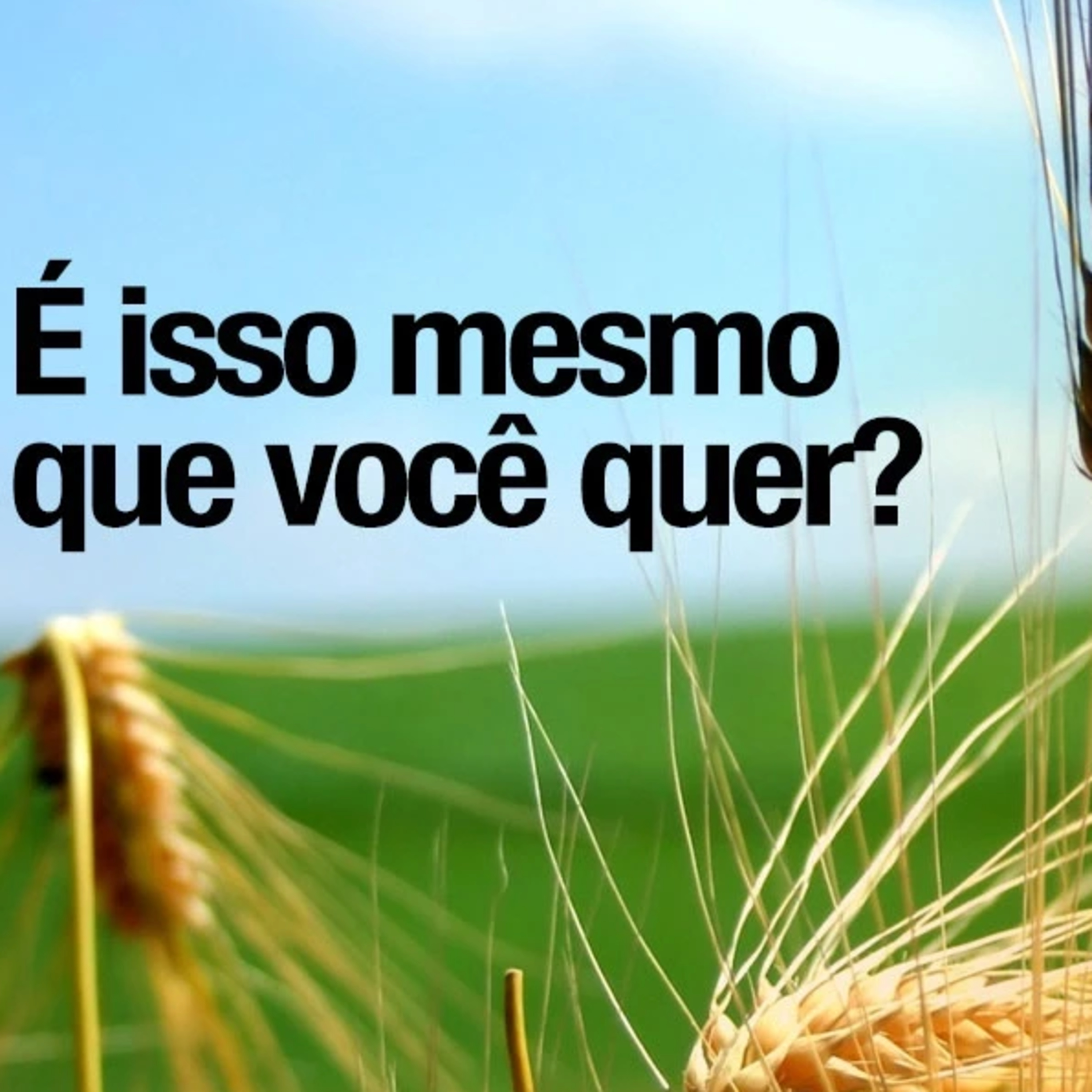 Histórias do Meu Salvador (2) - É Isso Mesmo que Você Quer? episode artwork