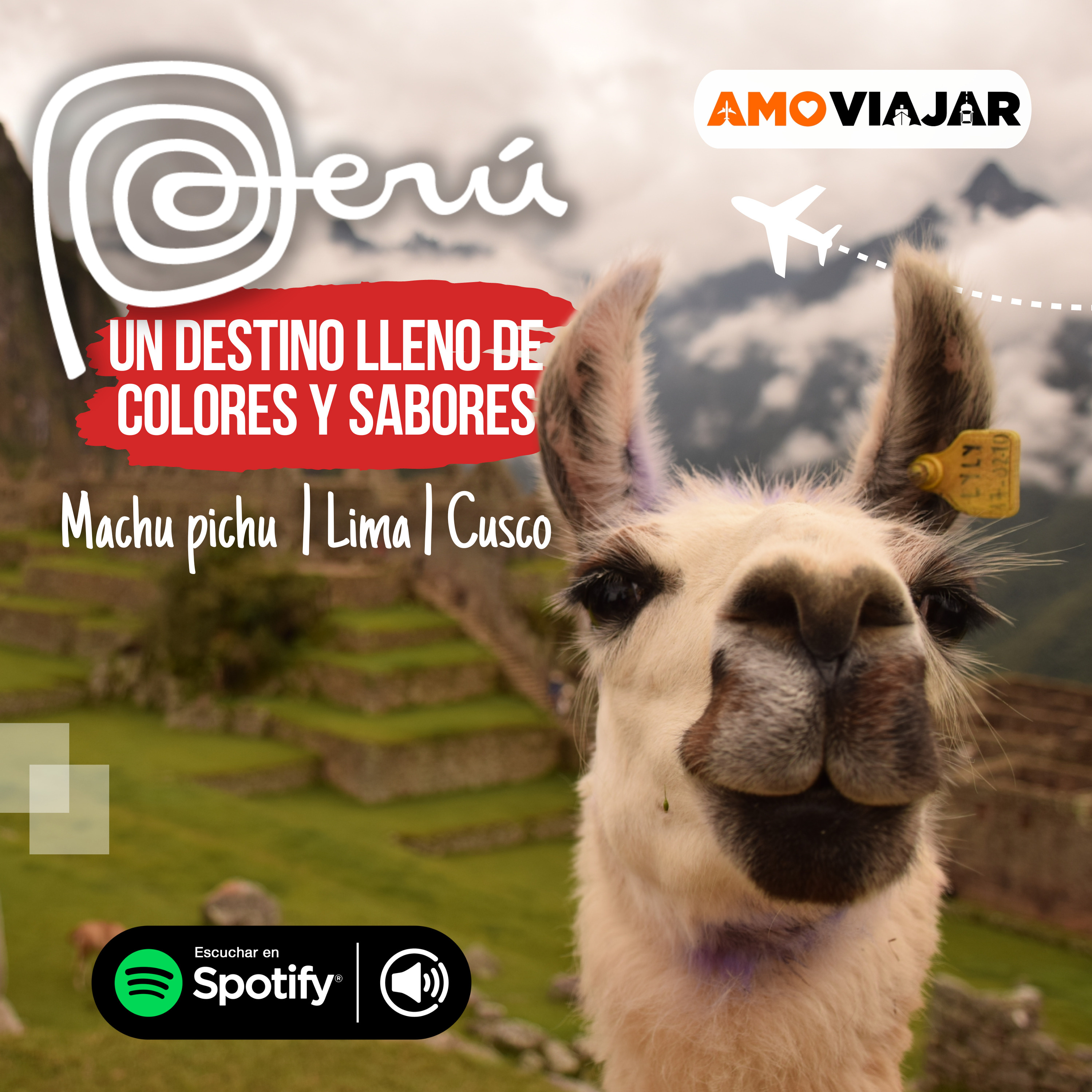Amo Viajar