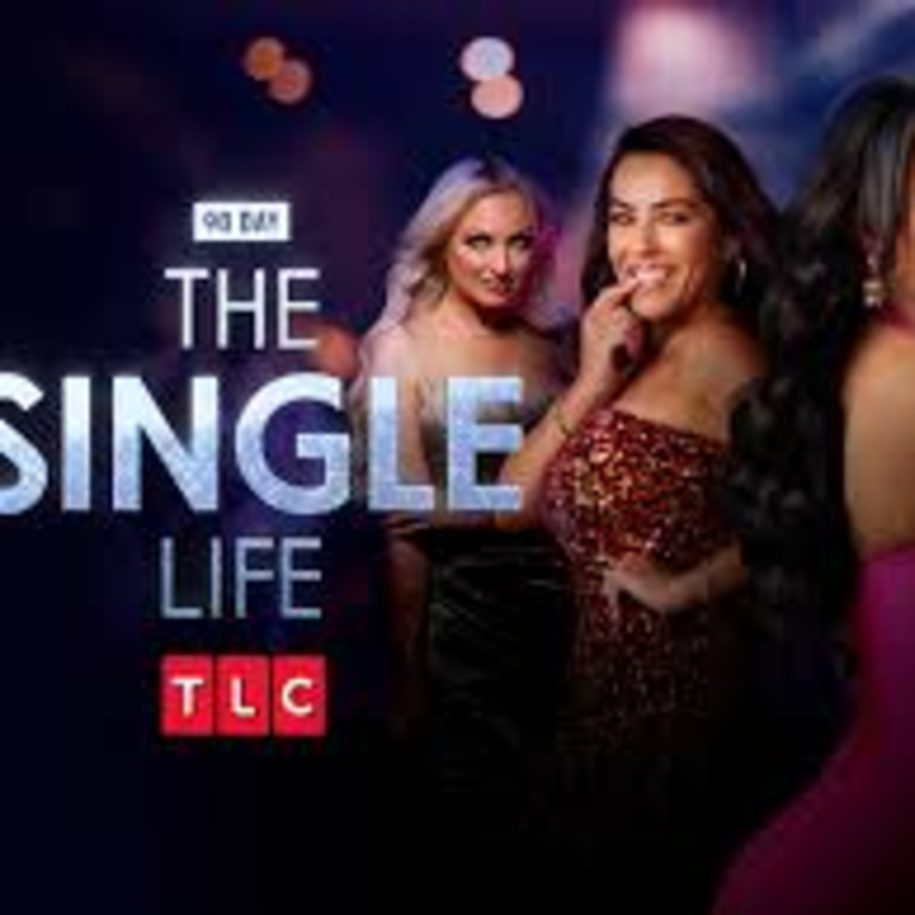 90 Day The Single Life Recap Chat