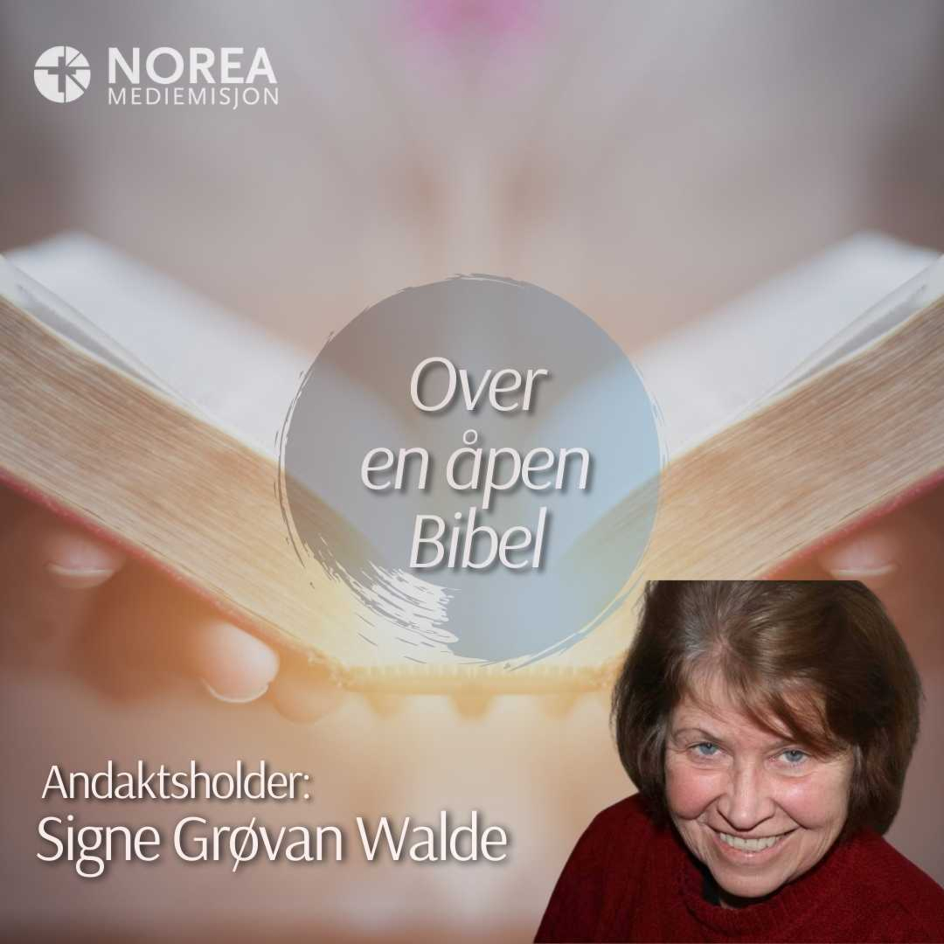 E2342 -1-Signe Grøvan Walde - Guds uendelige tålmodighet og Guds dom episode artwork