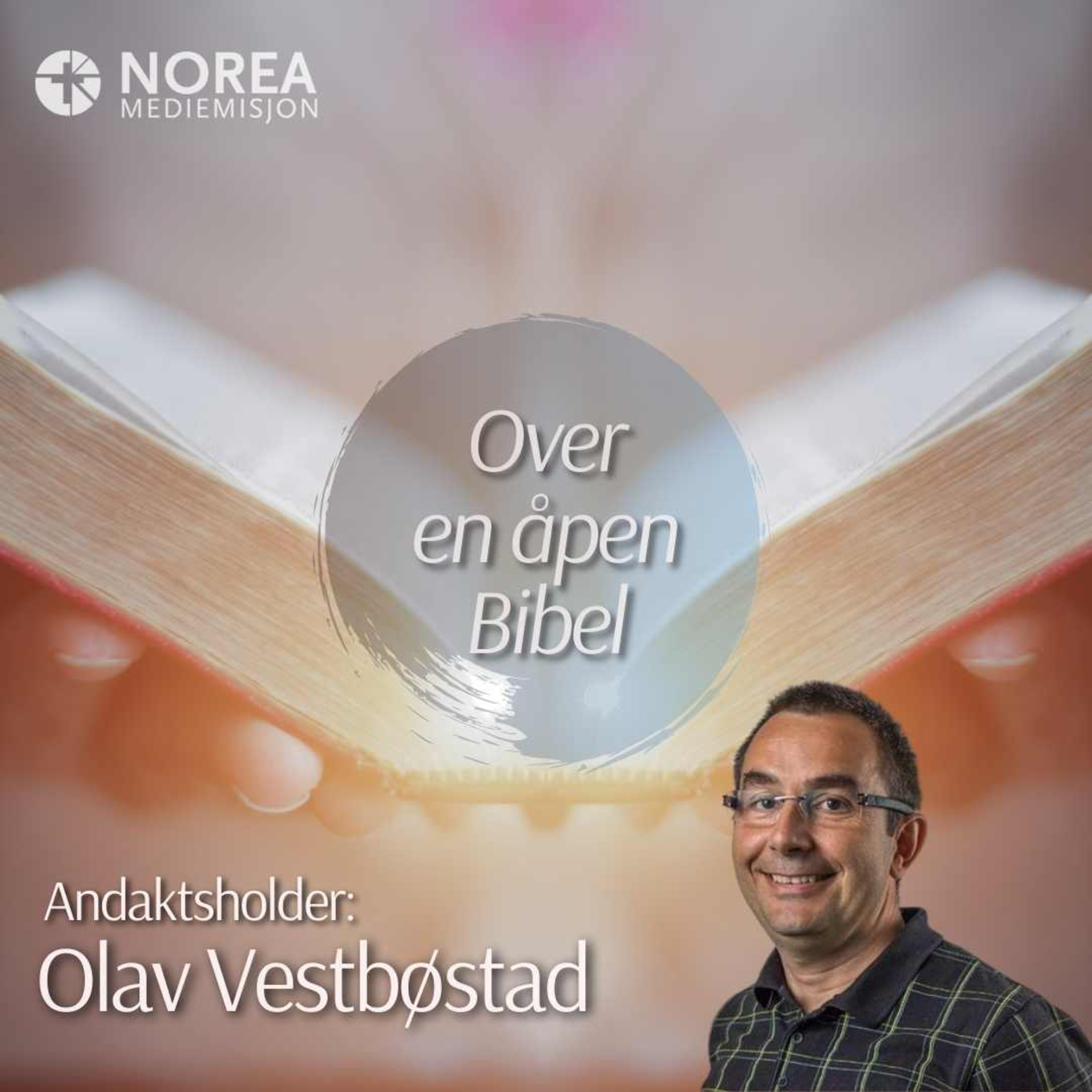 E2511 -5-Olav Vestbøstad - Jesus vekkjer opp Lasarus (Joh 11,1-44) episode artwork