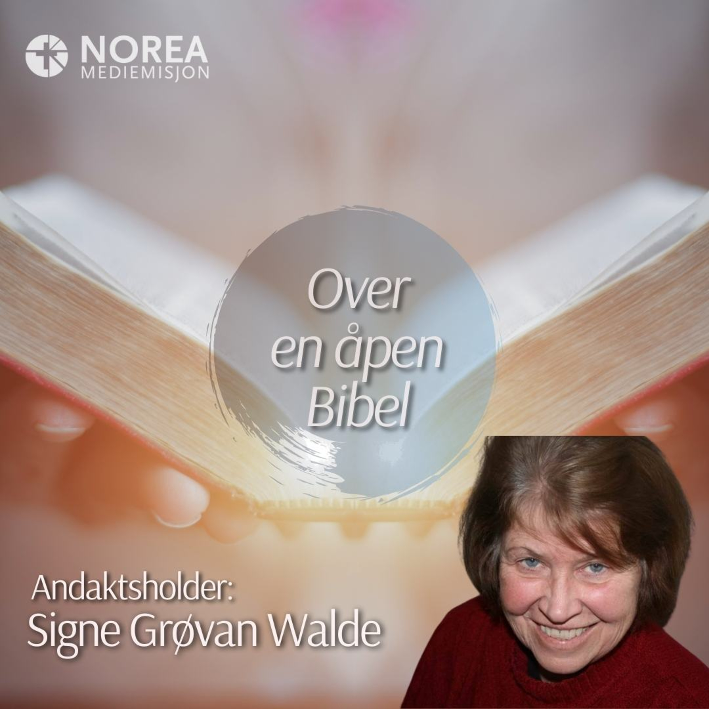 E2525 -4-Signe Grøvan Walde - Ingenting er umulig for Gud episode artwork