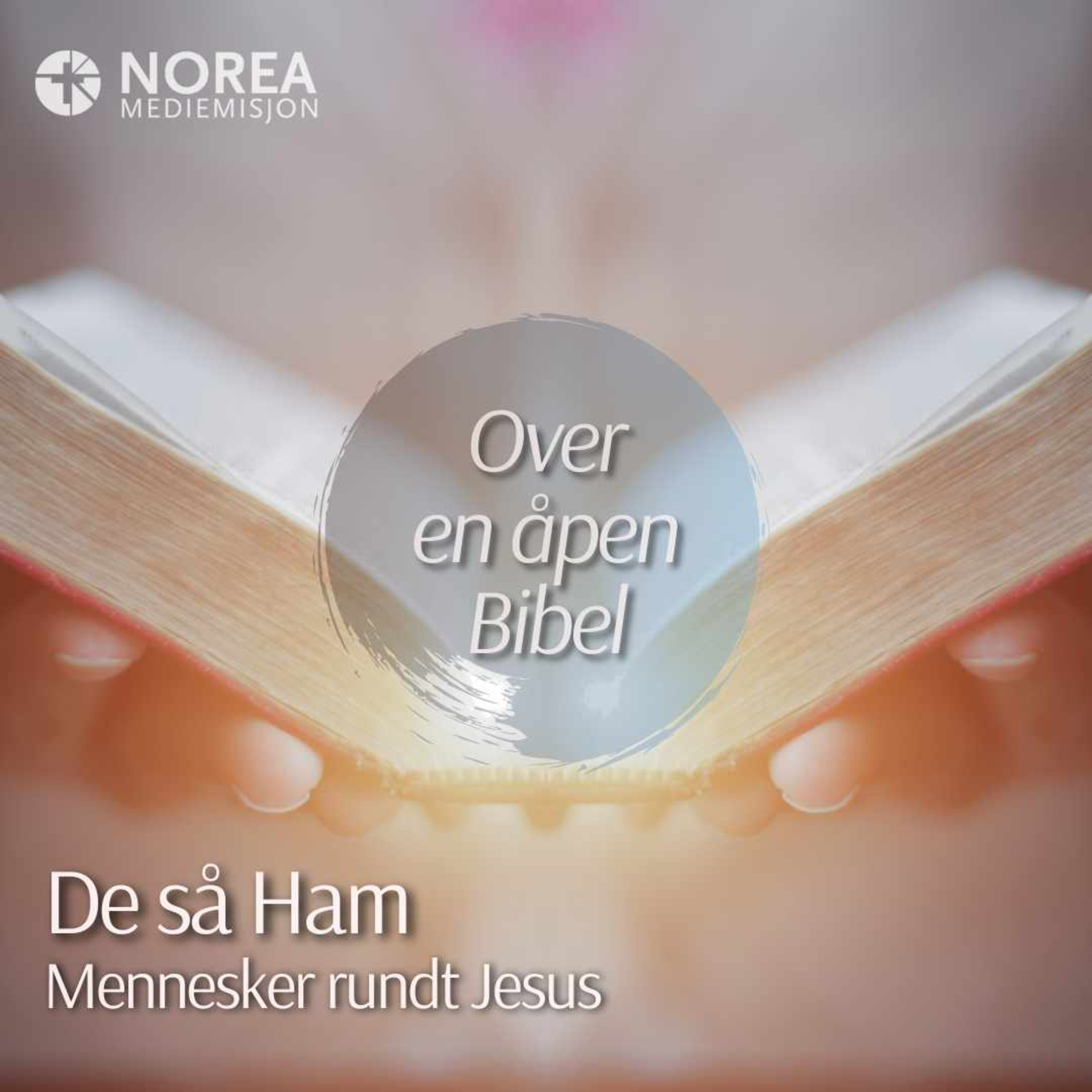 E2602 -4-De så ham - Lasarus i Betania episode artwork