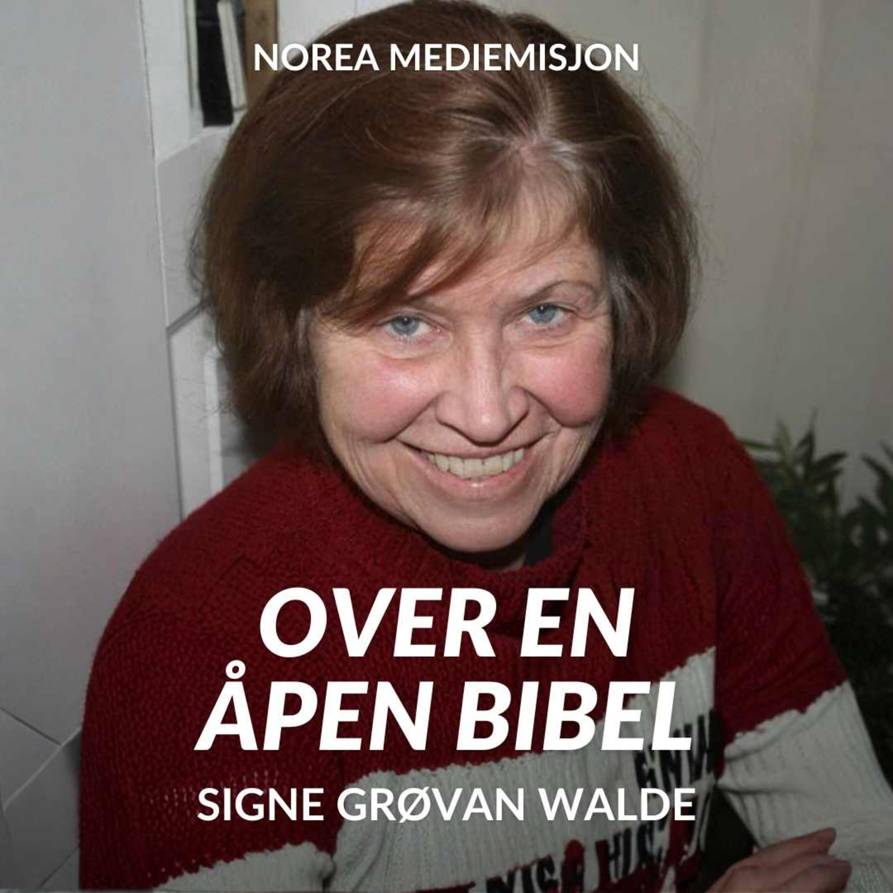 Bortrykkelsen - Signe Grøvan Walde (E2628-5) episode artwork
