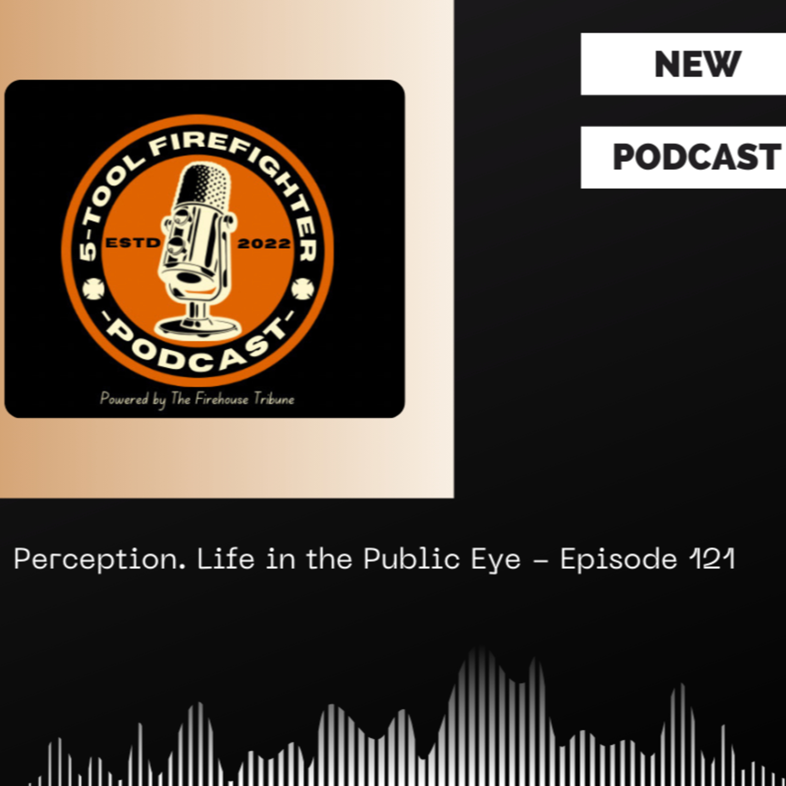 Perception. Life in the Public Eye - Episode 121 episode artwork