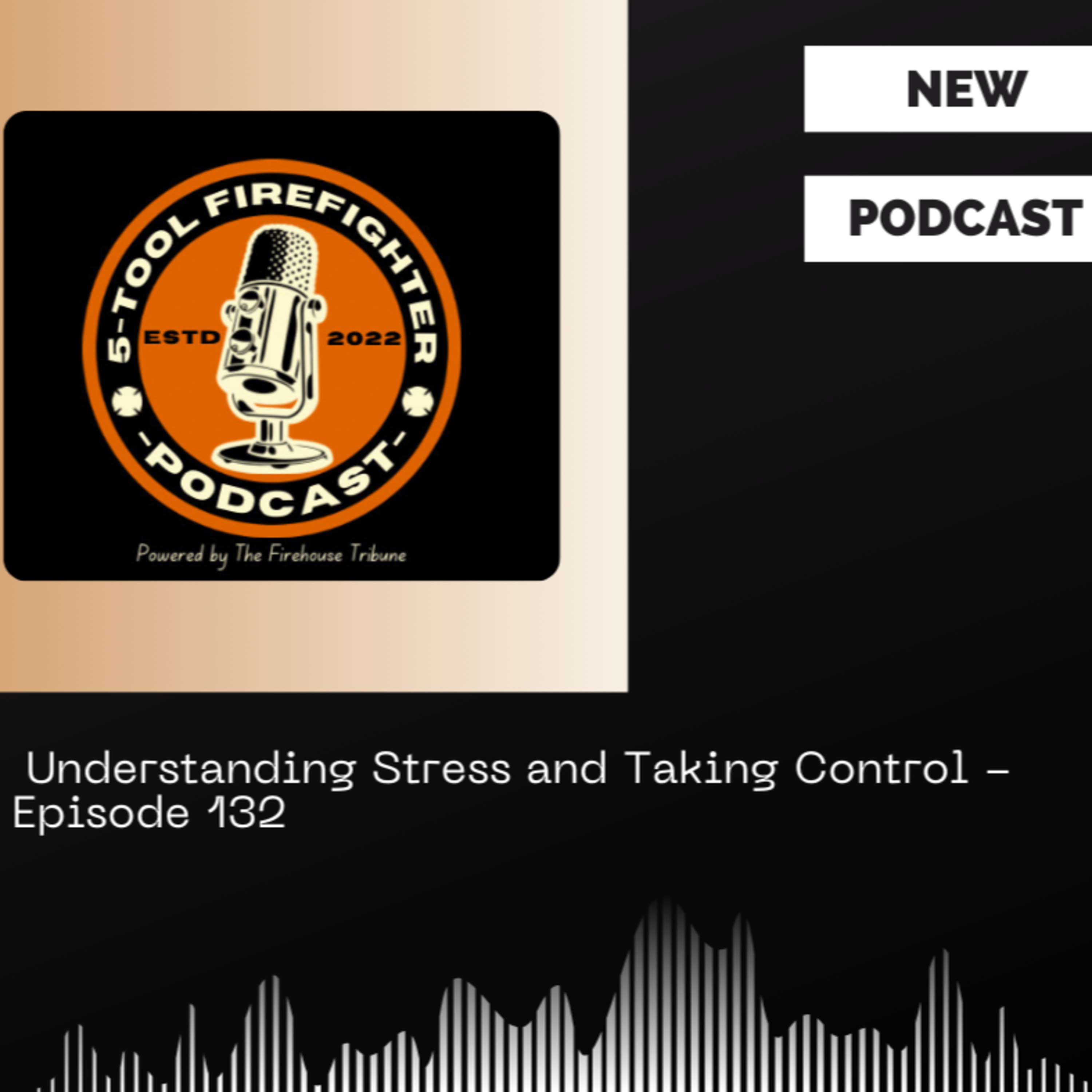  Understanding Stress and Taking Control - Episode 132 episode artwork