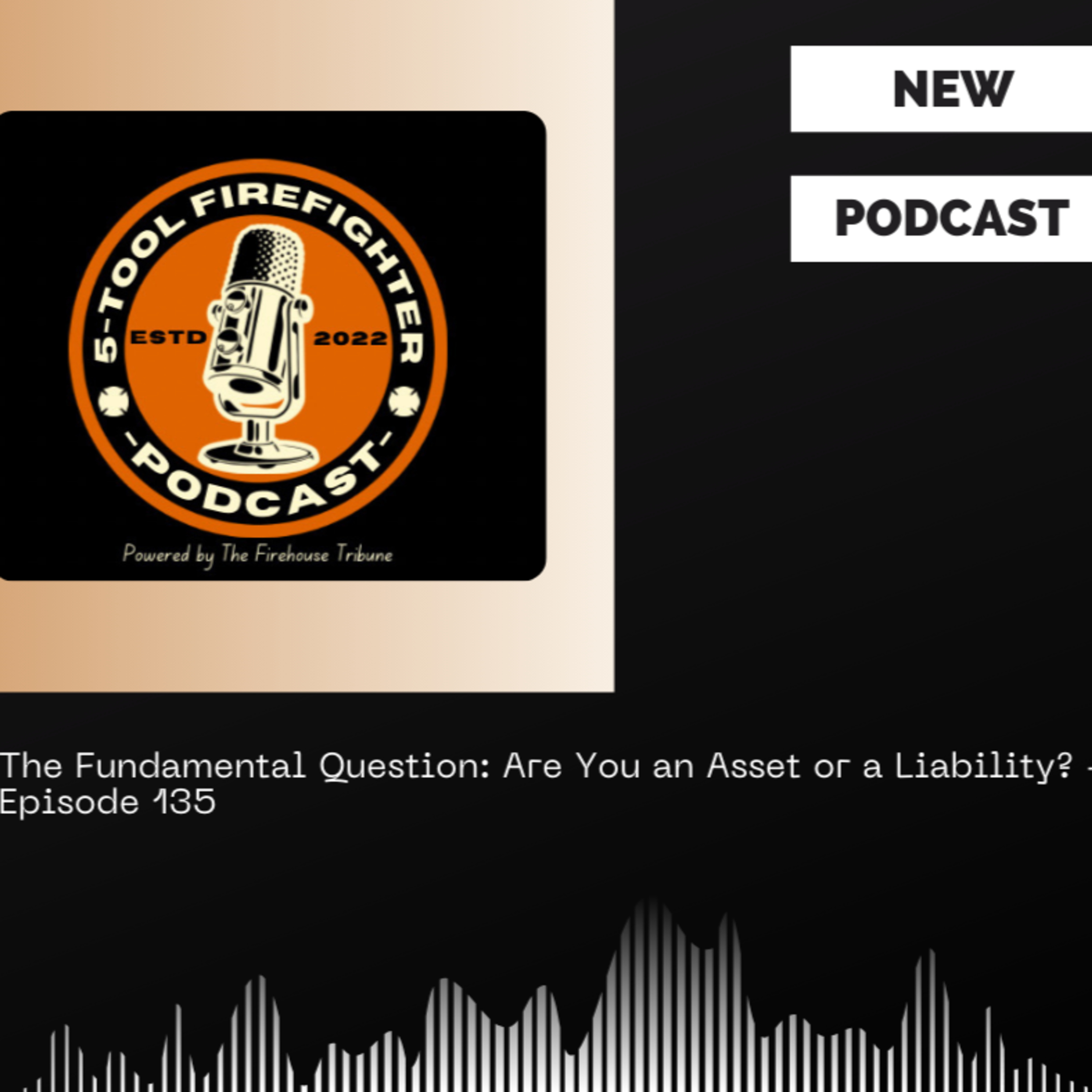 The Fundamental Question: Are You an Asset or a Liability? - Episode 135 episode artwork