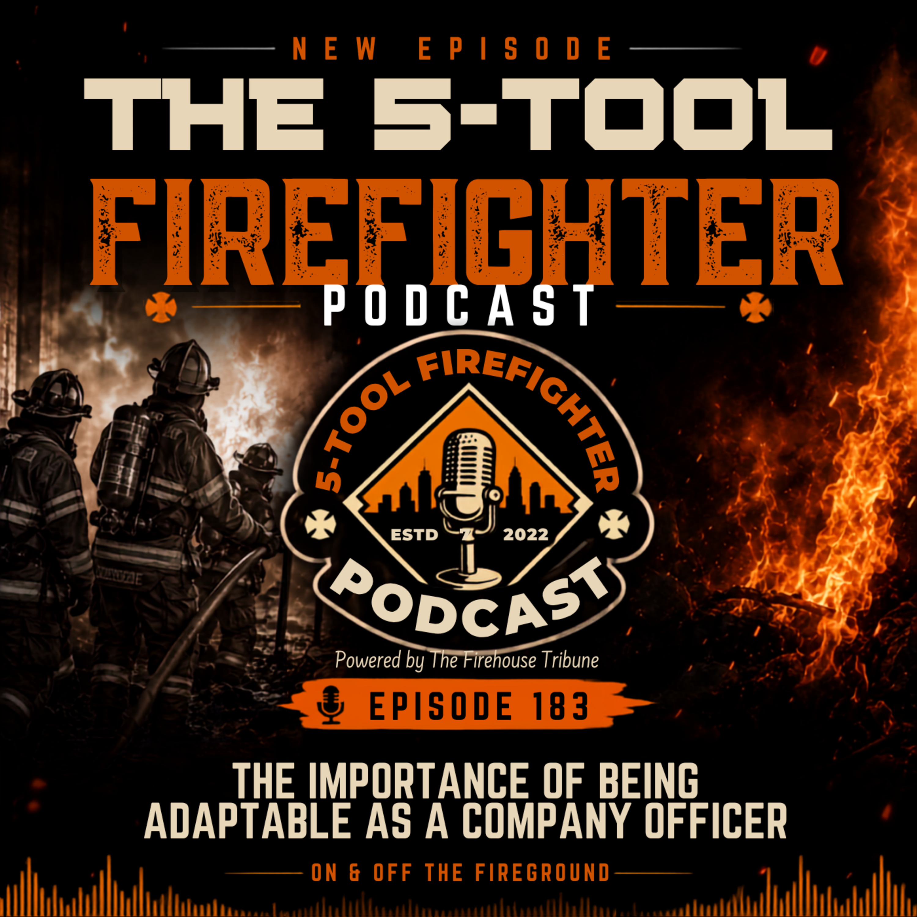 The Importance of Being Adaptable as a Company Officer - Episode 183 episode artwork