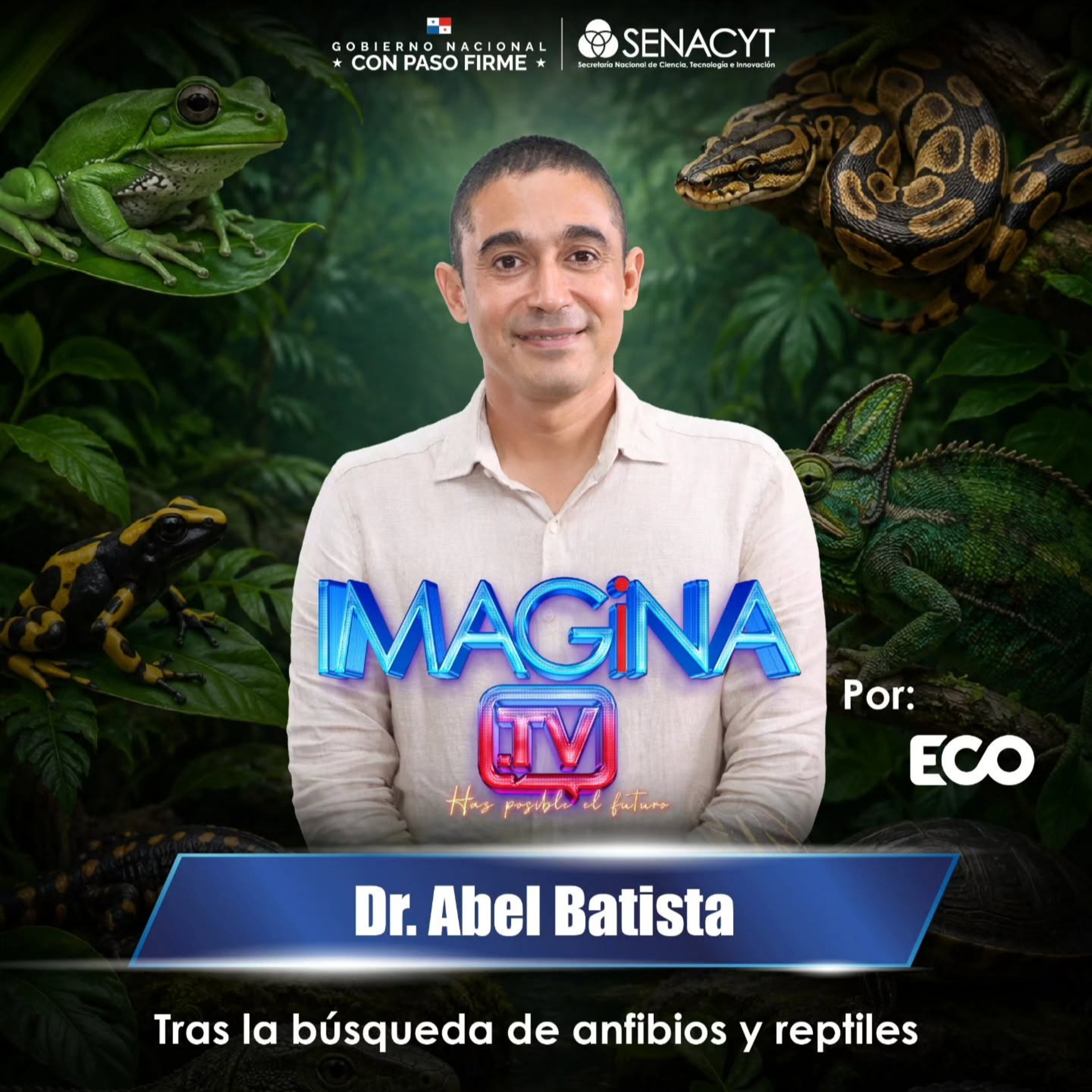 Descubre el fascinante mundo de los anfibios y reptiles episode artwork