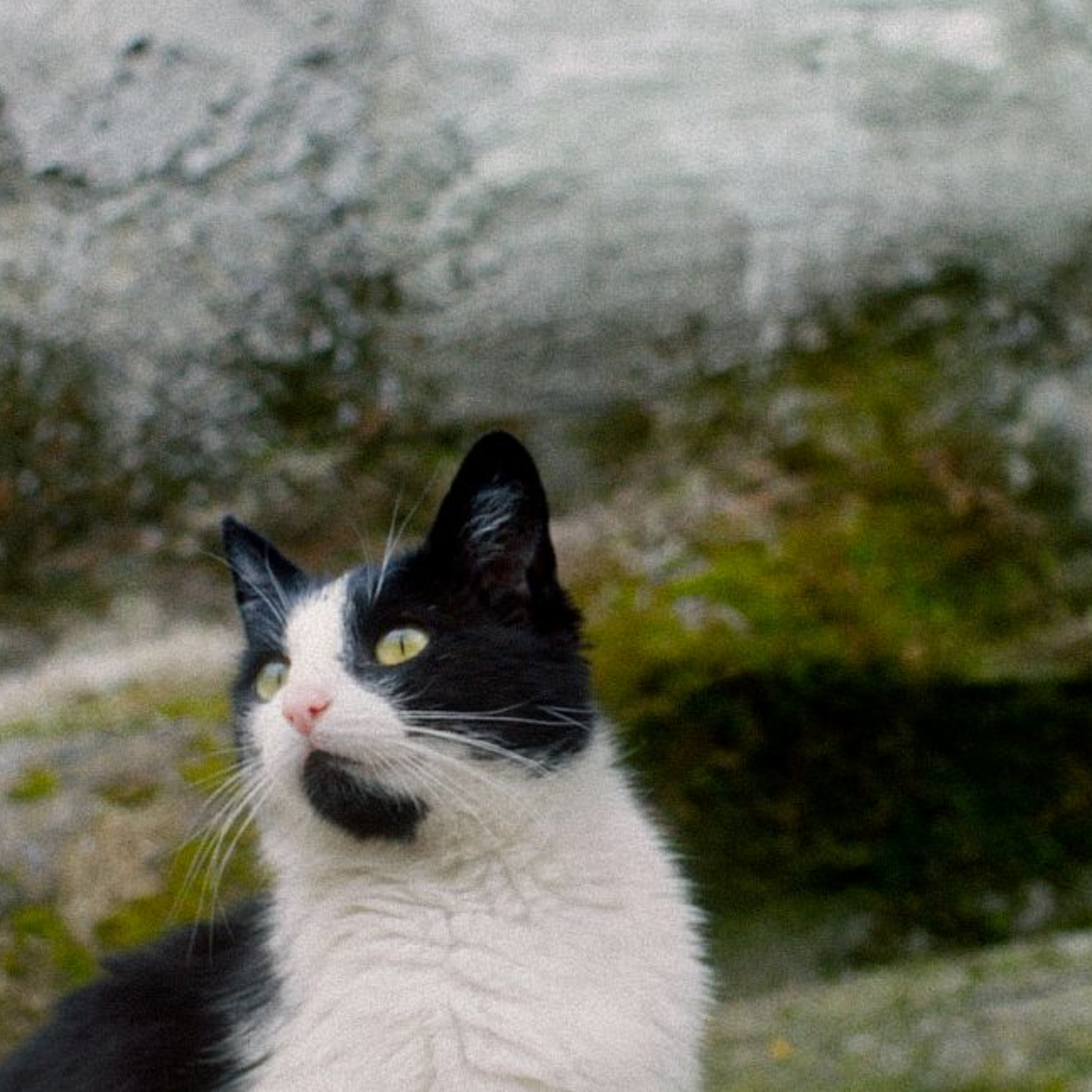 DOK.fest München Podcast. Im Kino. Zuhause.