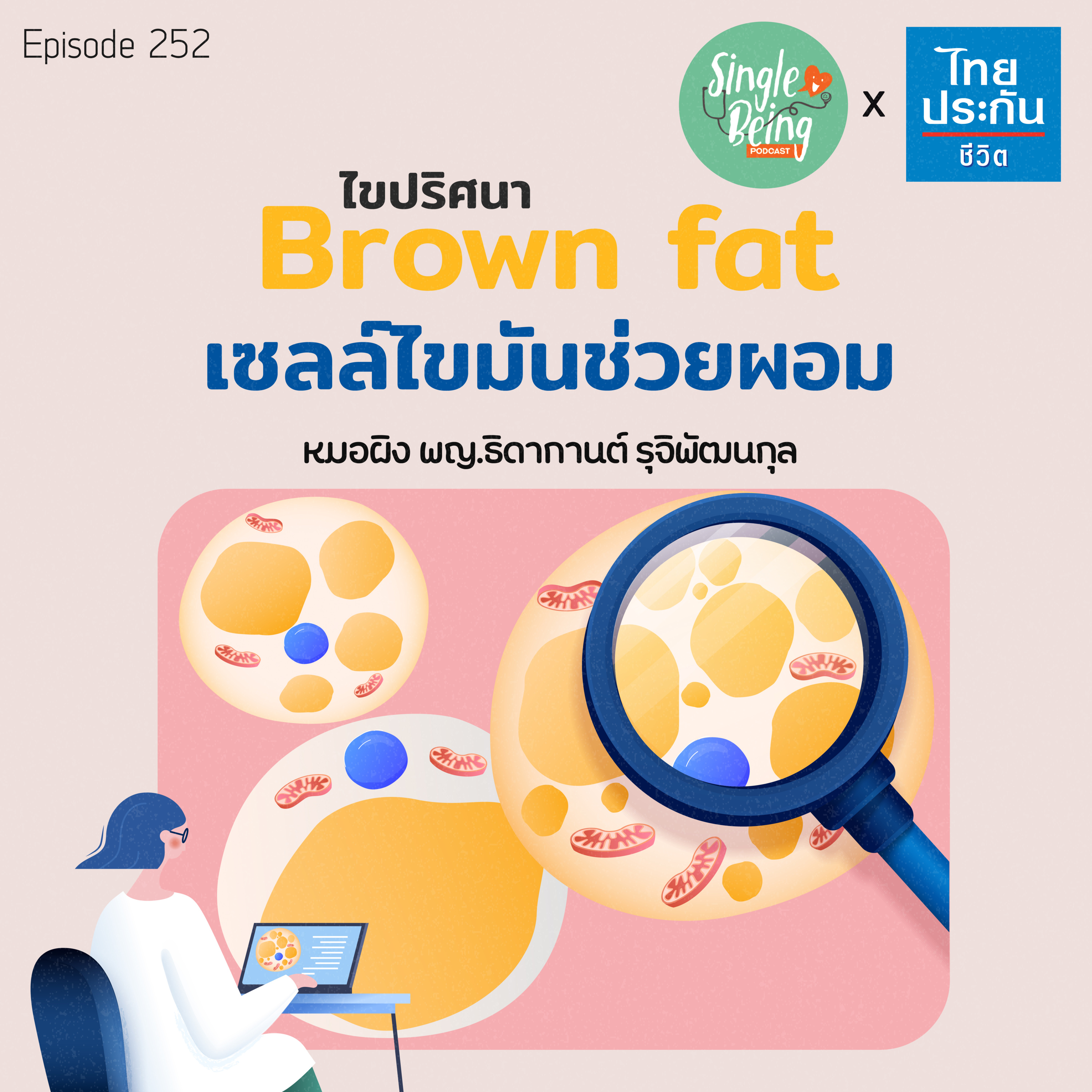 Single Being EP.252 Brown Fat ไขปริศนา เซลล์ไขมันช่วยผอม episode artwork
