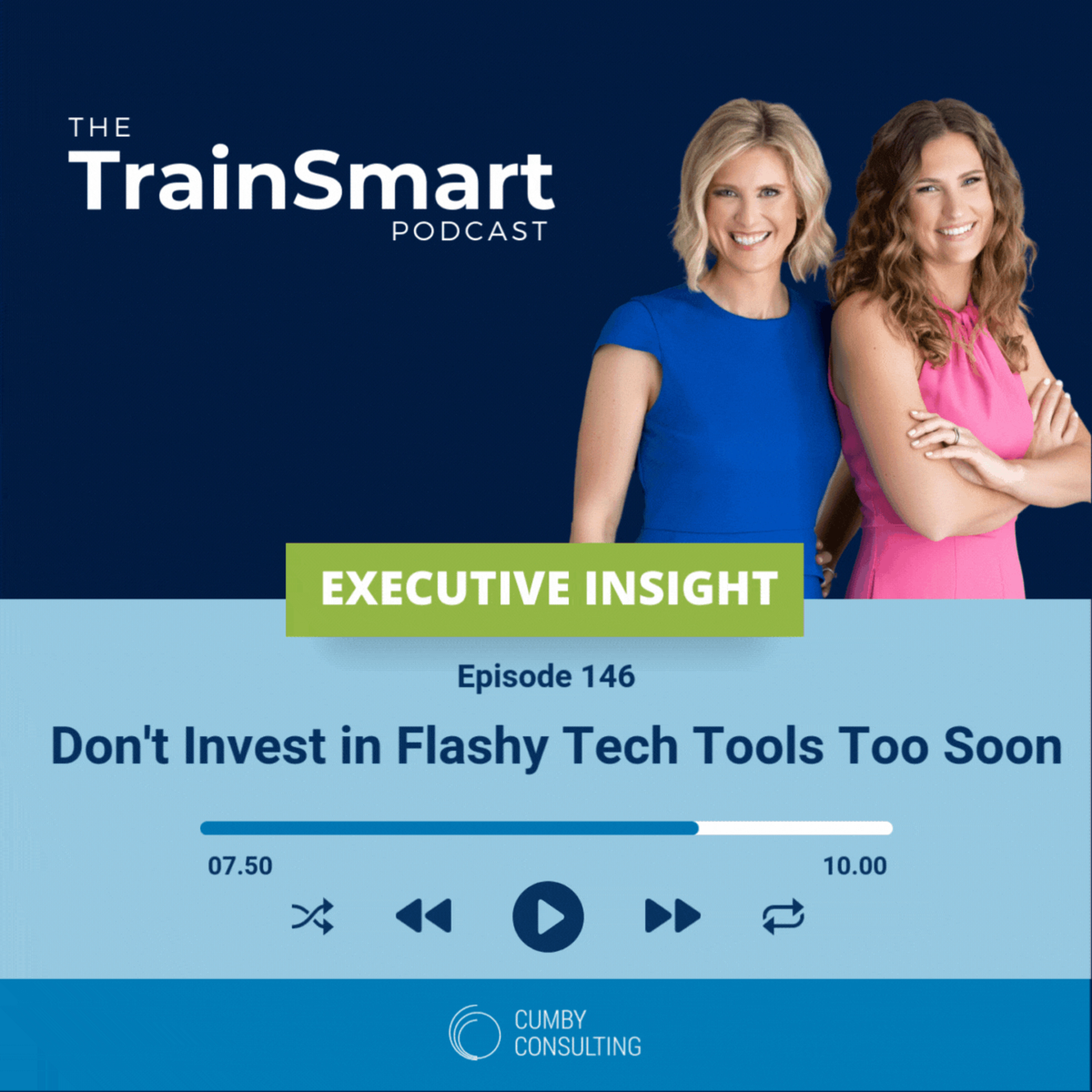 146 I Executive Insights: Don't Invest in Flashy Tech Tools Too Soon episode artwork