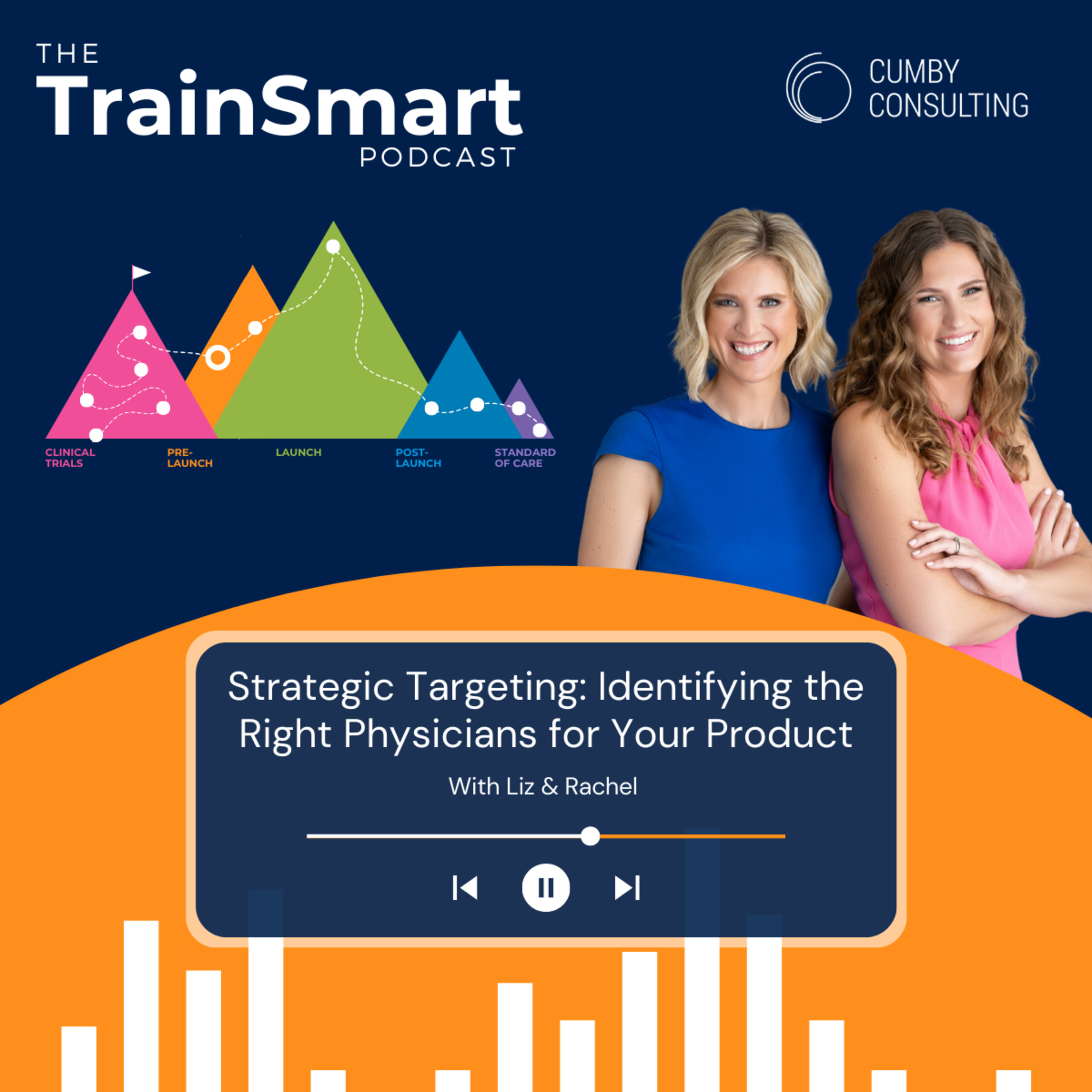 161 | Strategic Targeting: Identifying the Right Physicians for Your Product episode artwork