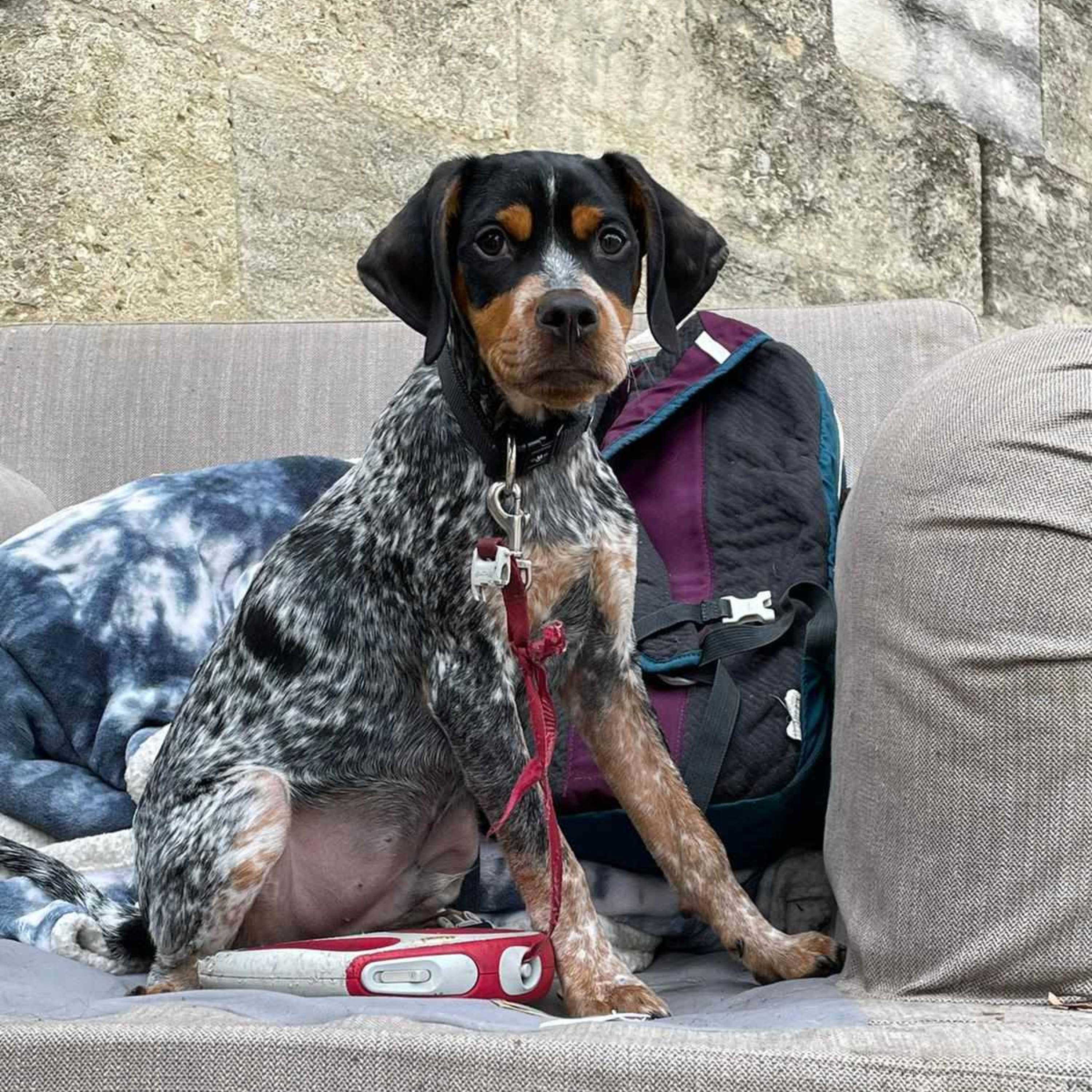 Place aux poètes de la rue