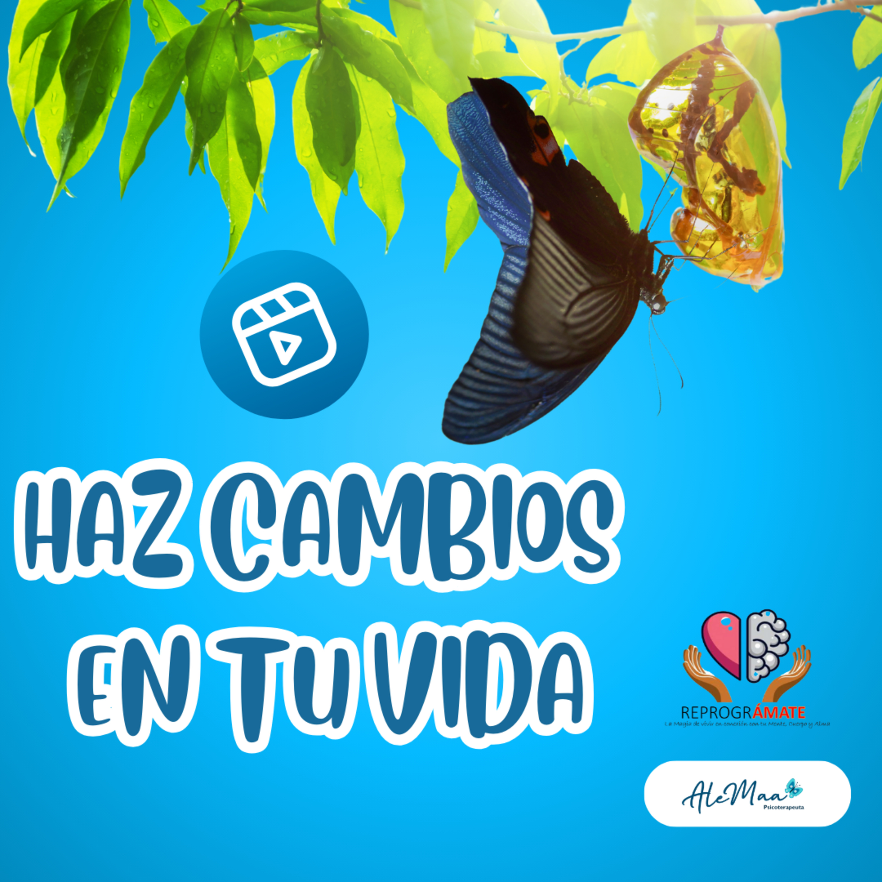 Reprográmate