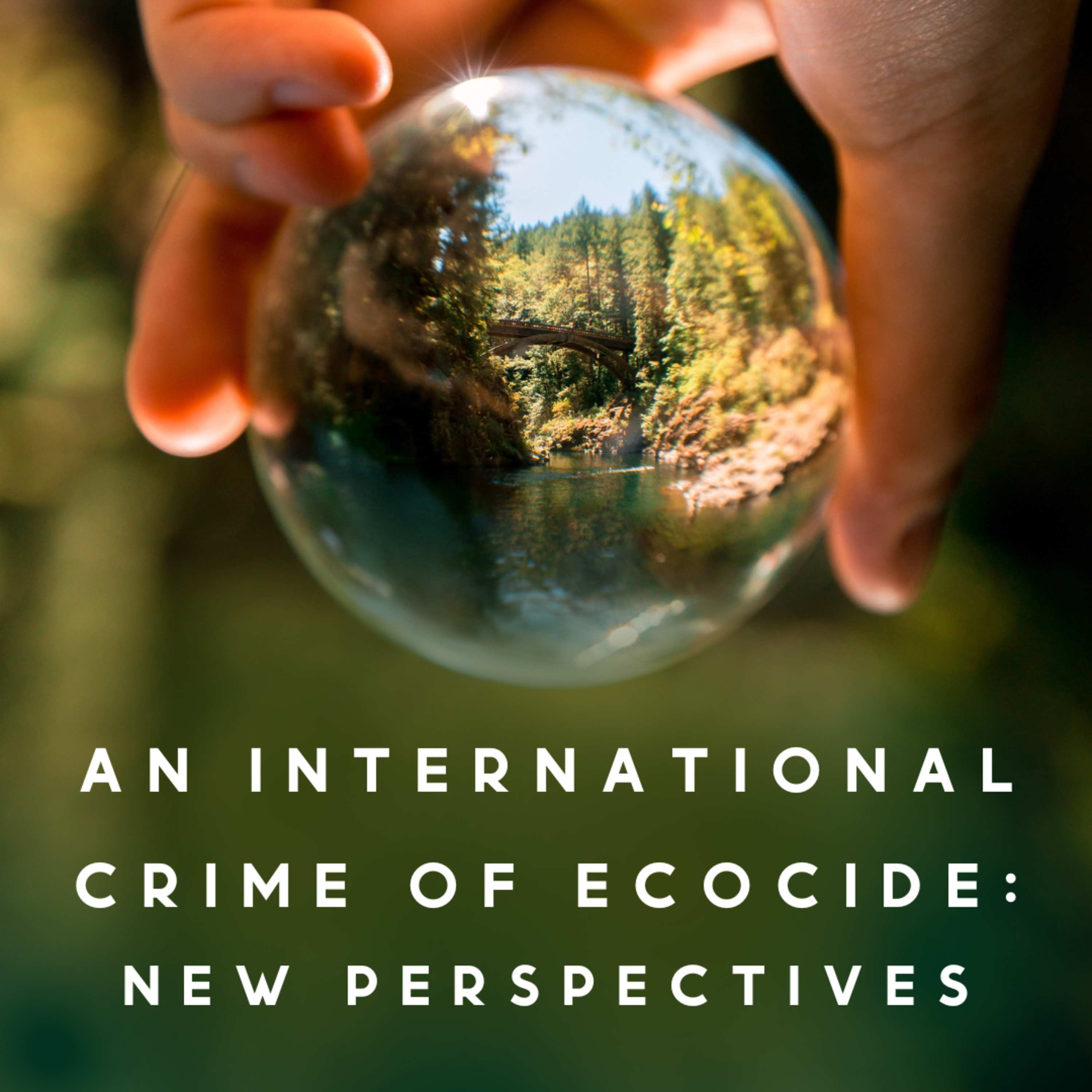 How Should the Crime of Ecocide Be Brought Into Law?