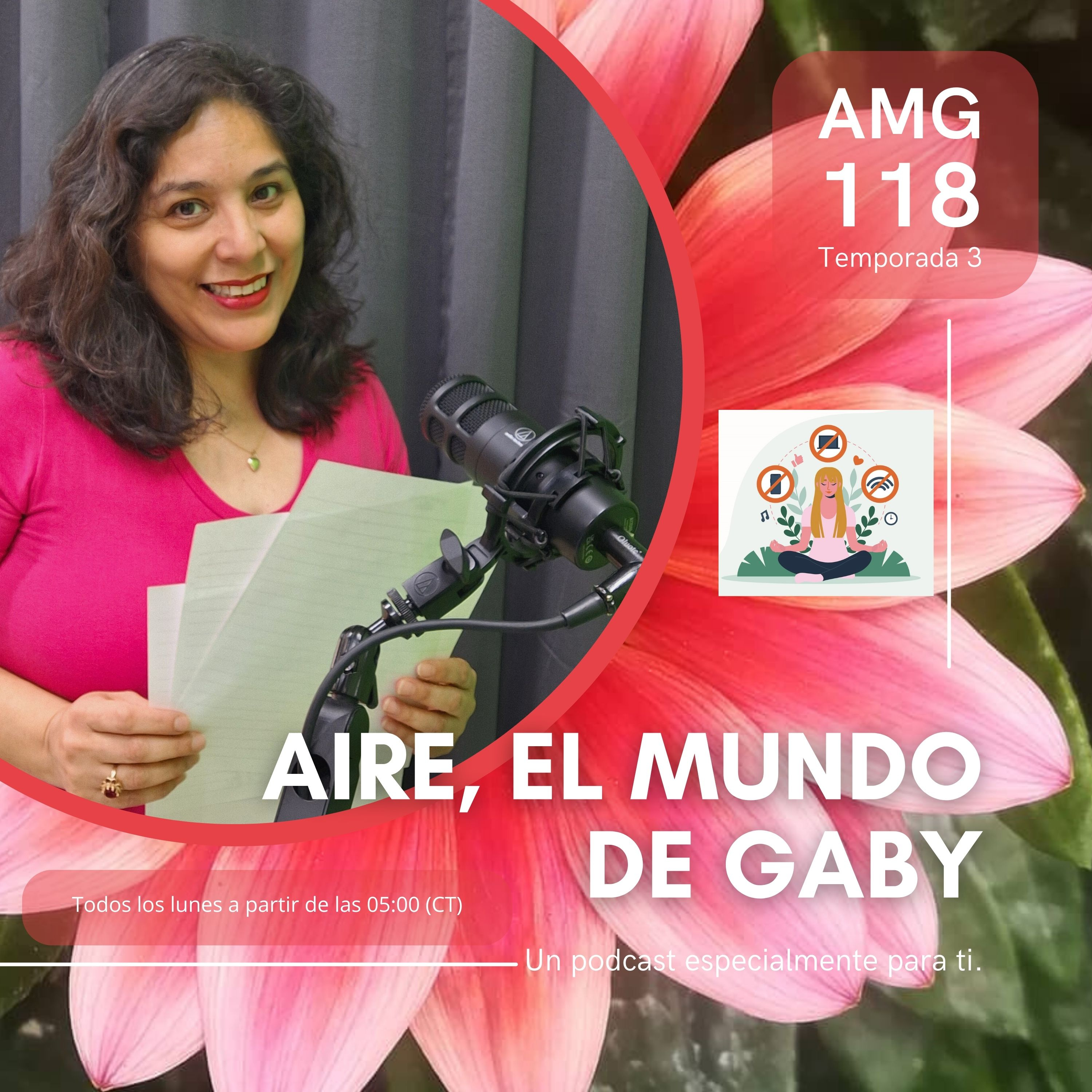 Aire, el mundo de Gaby