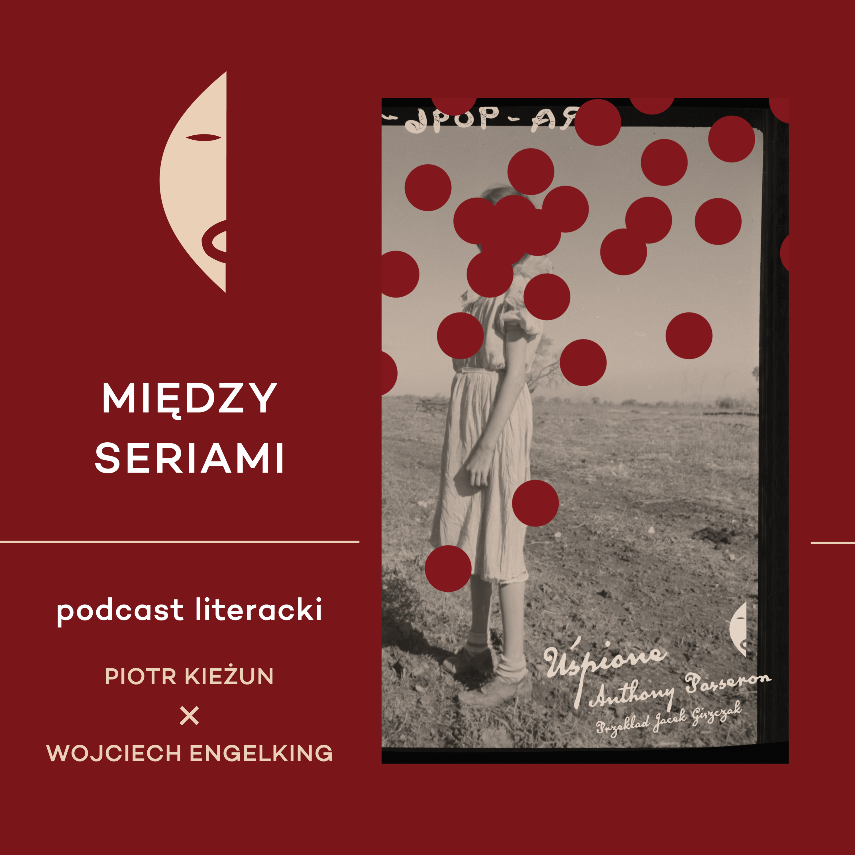 Wydawnictwo Czarne MIĘDZY SERIAMI