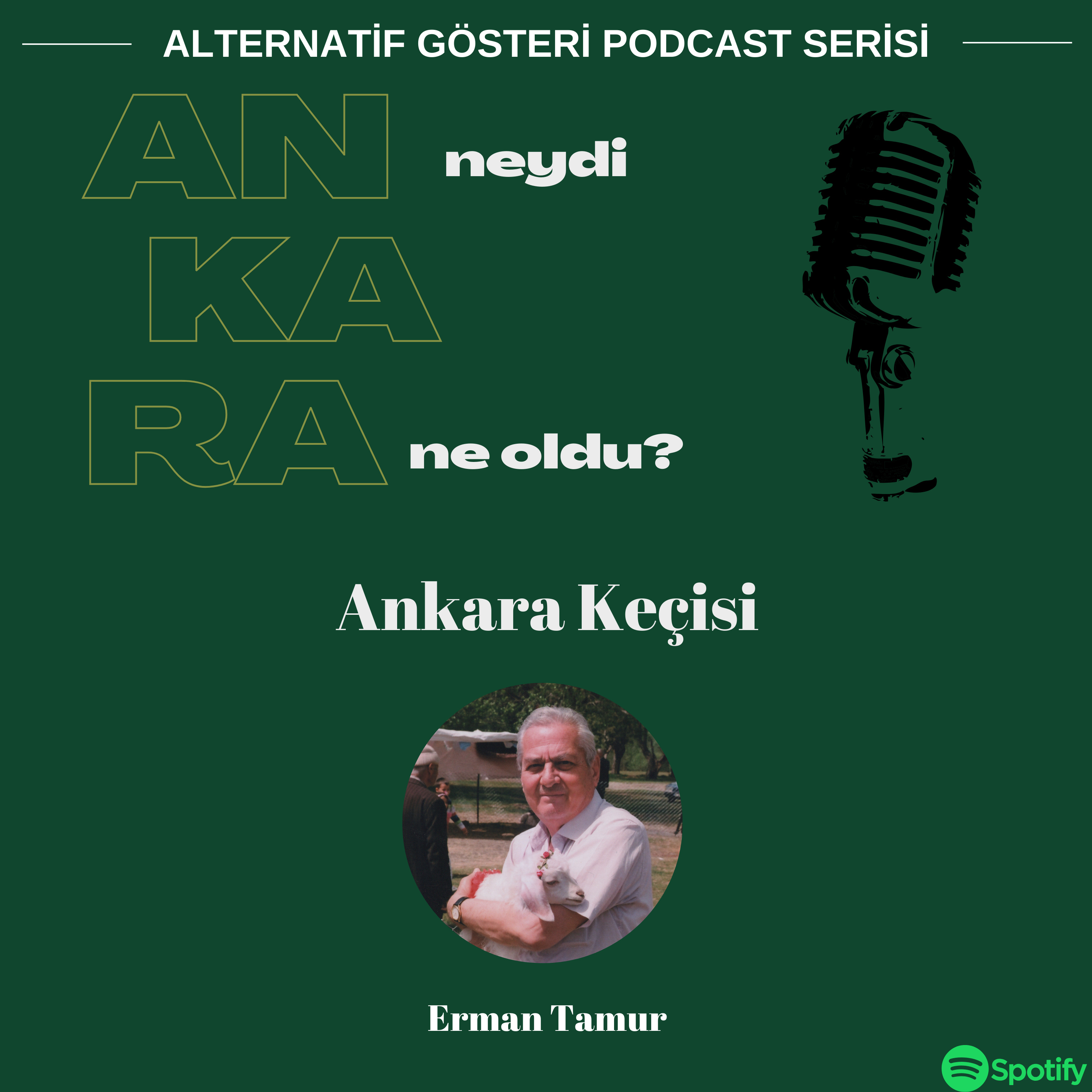 Ankara Neydi Ne Oldu?